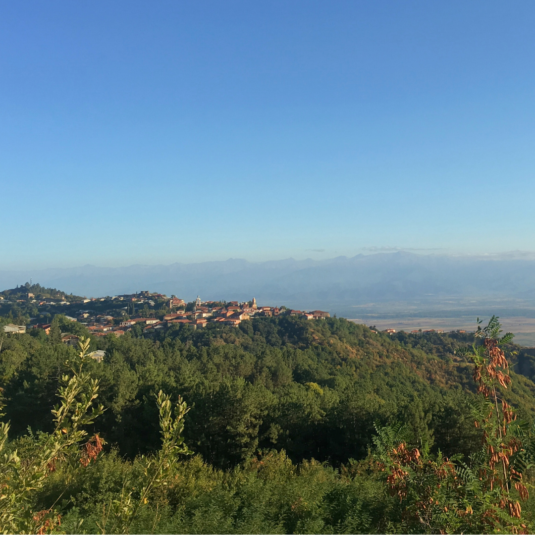 Грузинская Кругосветка - Большое путешествие по Грузии: 6 городов (8/22)