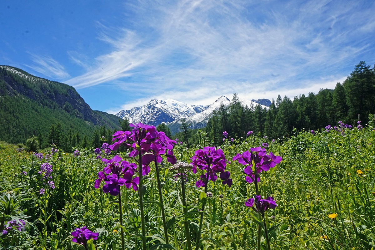 Изумруды Алтая, поход с вьючными лошадьми на Каракабакские озера (4/36)