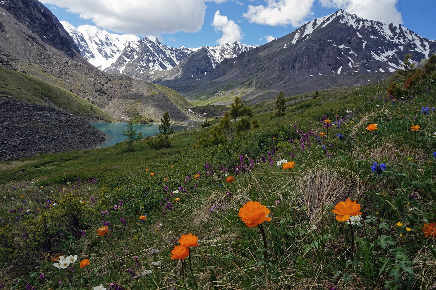 Изумруды Алтая, поход с вьючными лошадьми на Каракабакские озера (8/36)