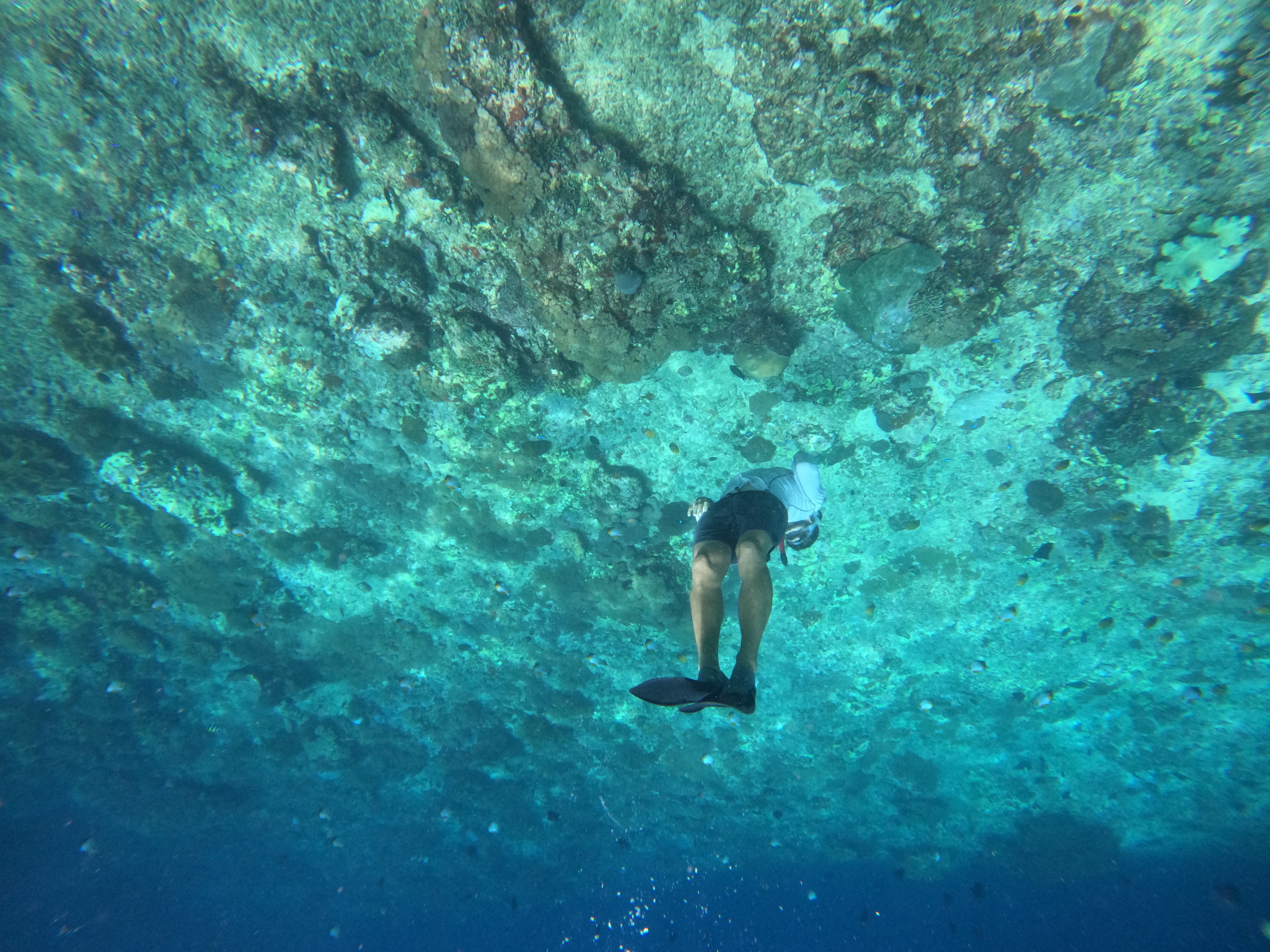 Морское приключение у Пениды, закат на Devilstears