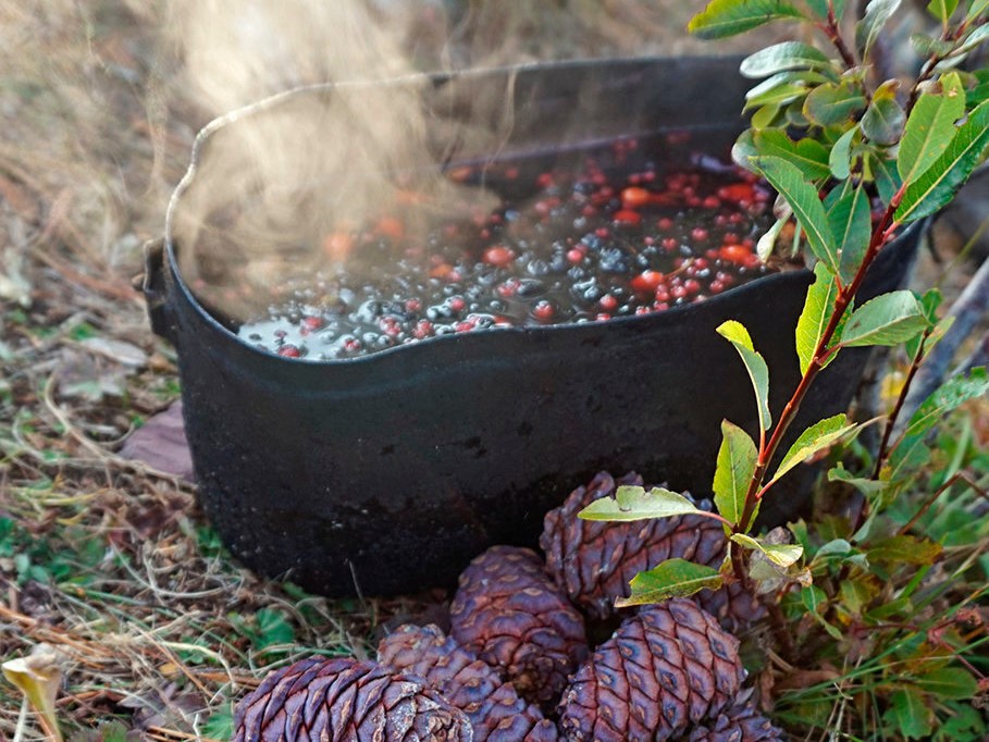 Изумруды Алтая, поход с вьючными лошадьми на Каракабакские озера (30/36)