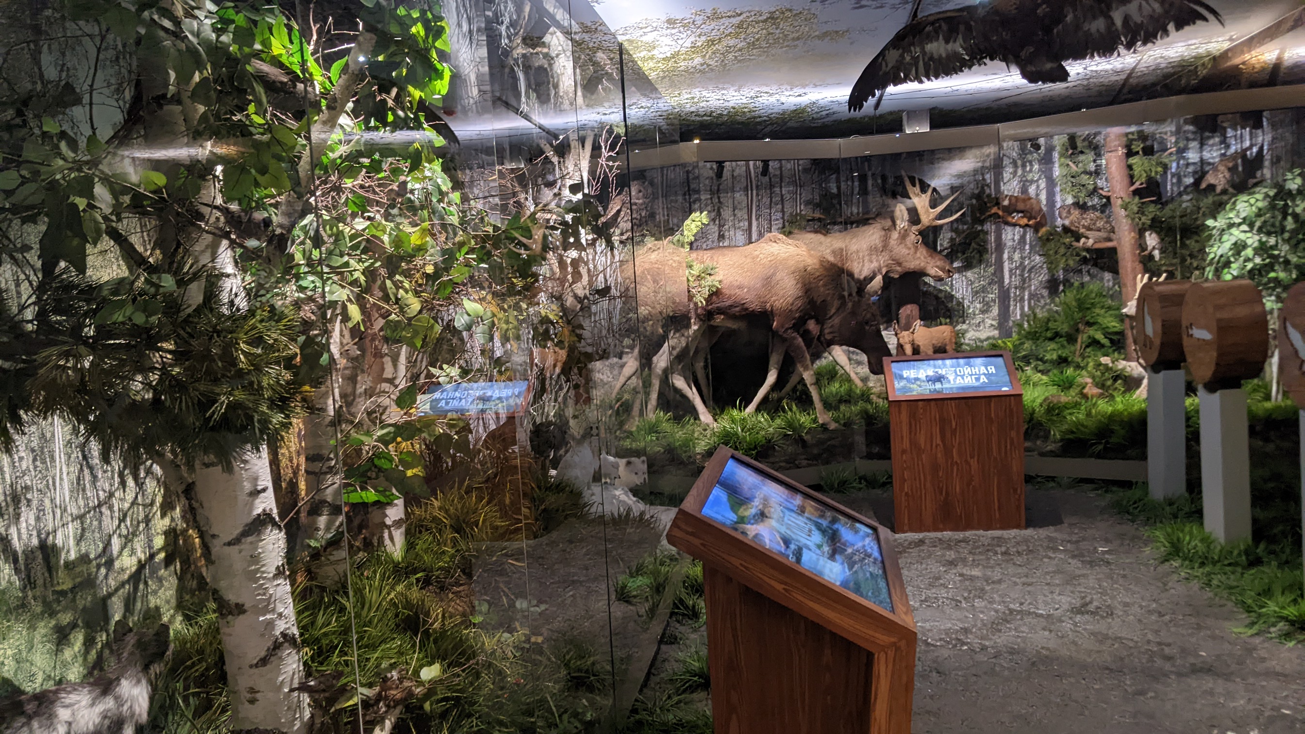 Трансфер с небанальной экскурсией (10/10)