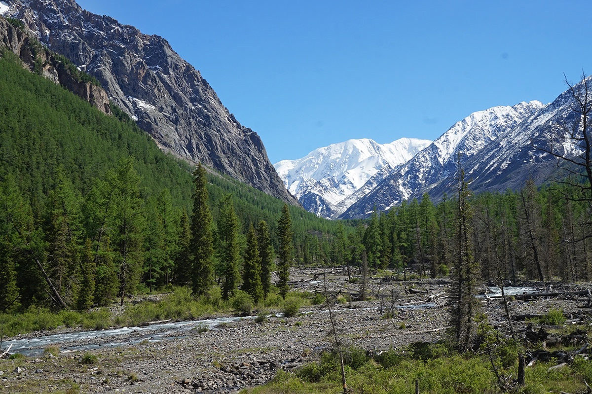 Изумруды Алтая, поход с вьючными лошадьми на Каракабакские озера (25/36)