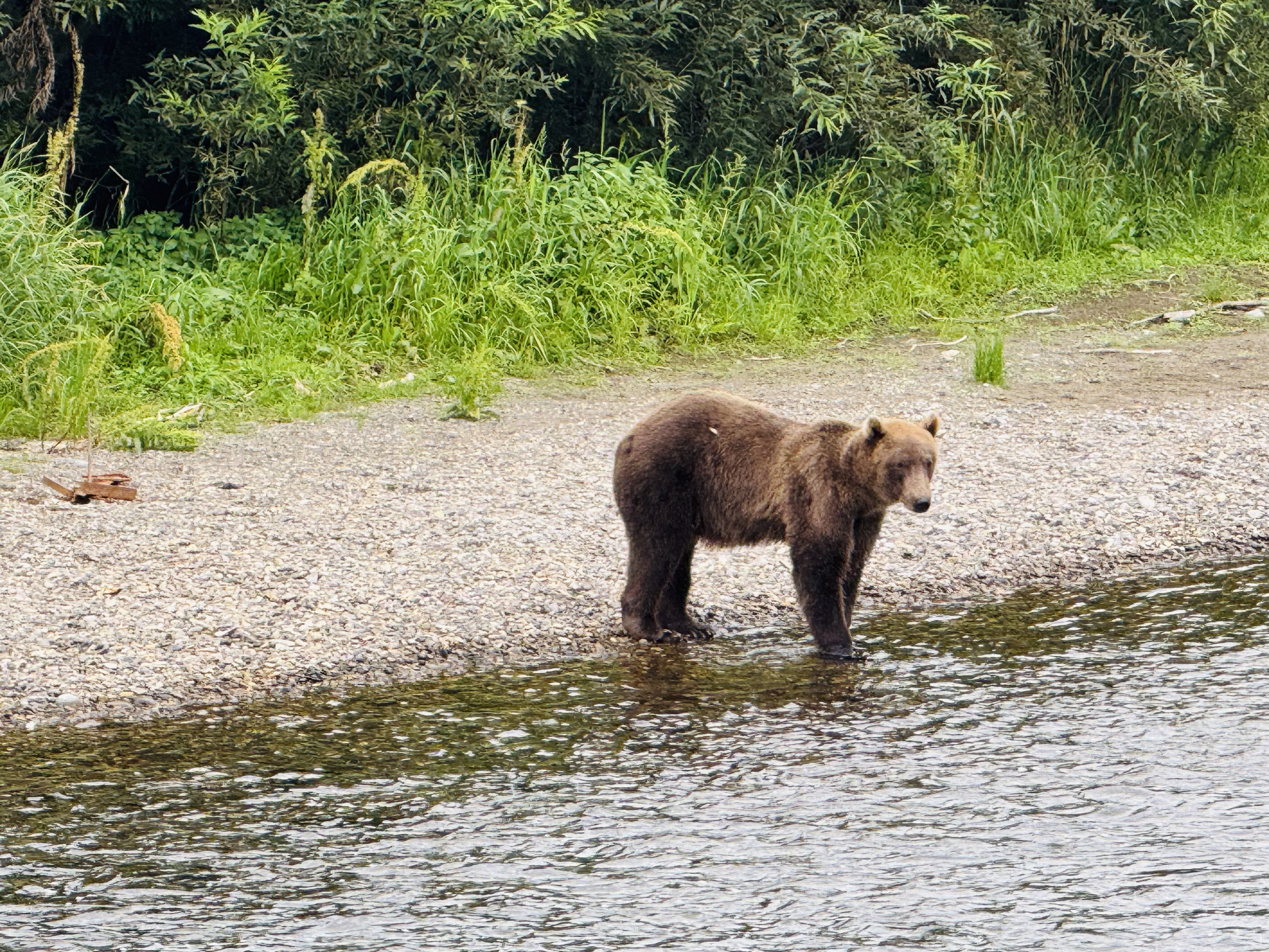 Водопад Южный. Релакс в горячих источниках