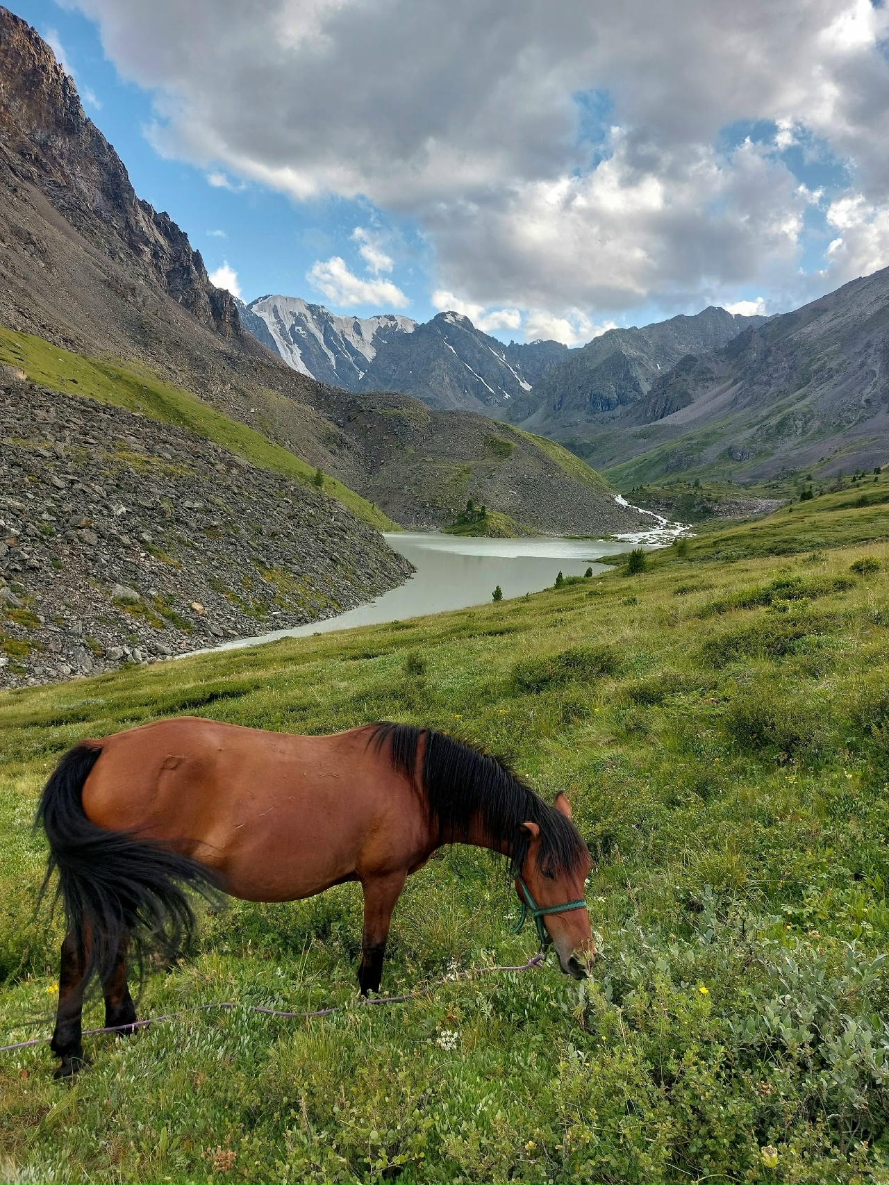 Изумруды Алтая, поход с вьючными лошадьми на Каракабакские озера (2/36)