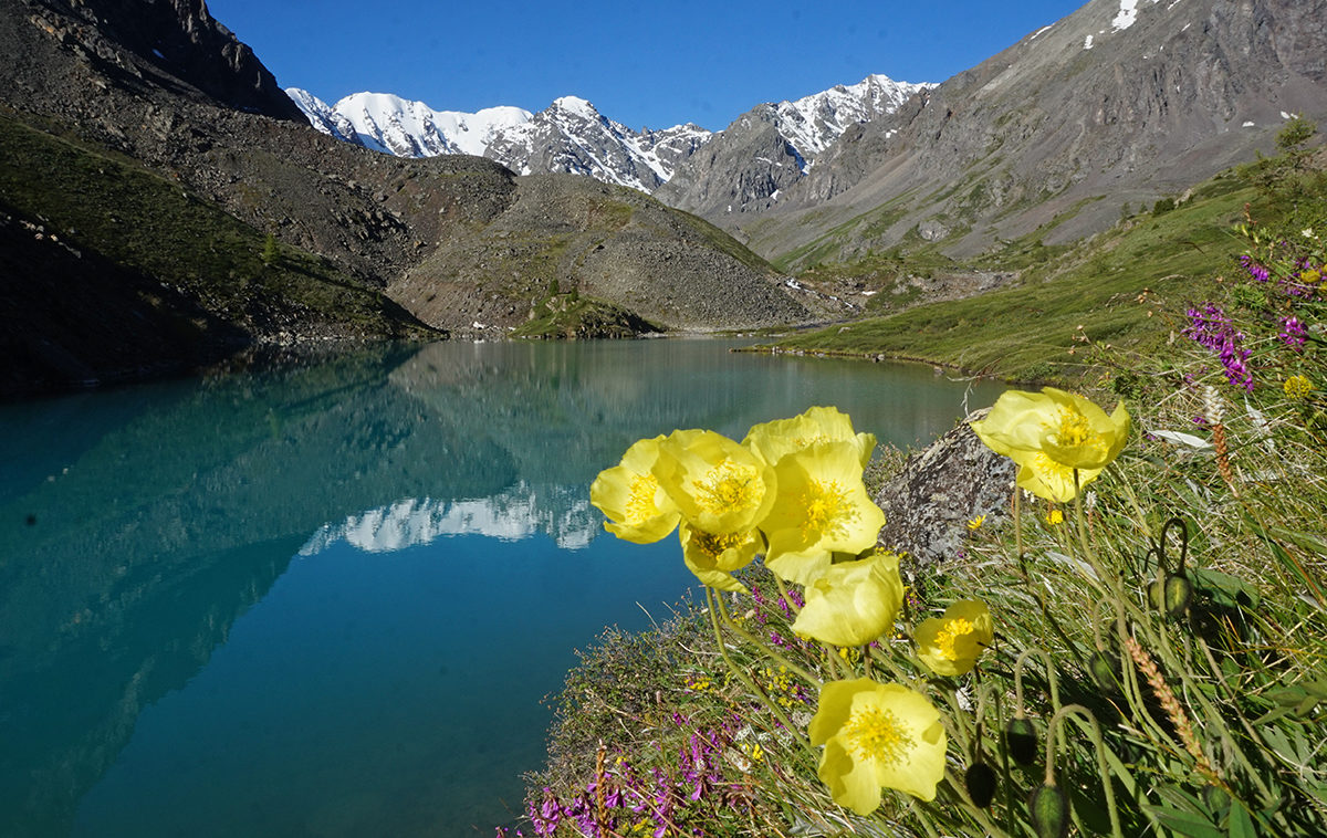 Изумруды Алтая, поход с вьючными лошадьми на Каракабакские озера (29/36)