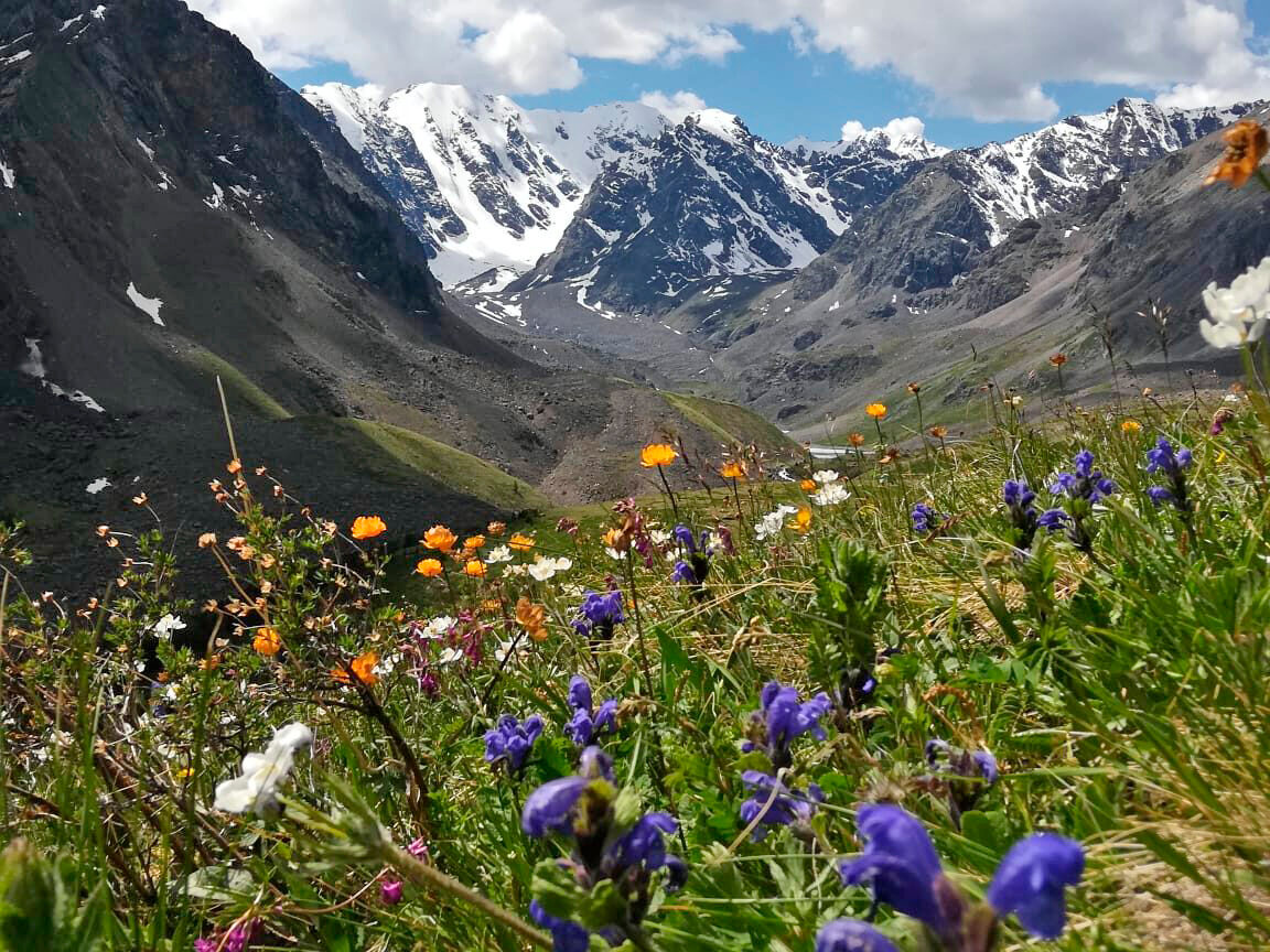 Изумруды Алтая, поход с вьючными лошадьми на Каракабакские озера (5/36)