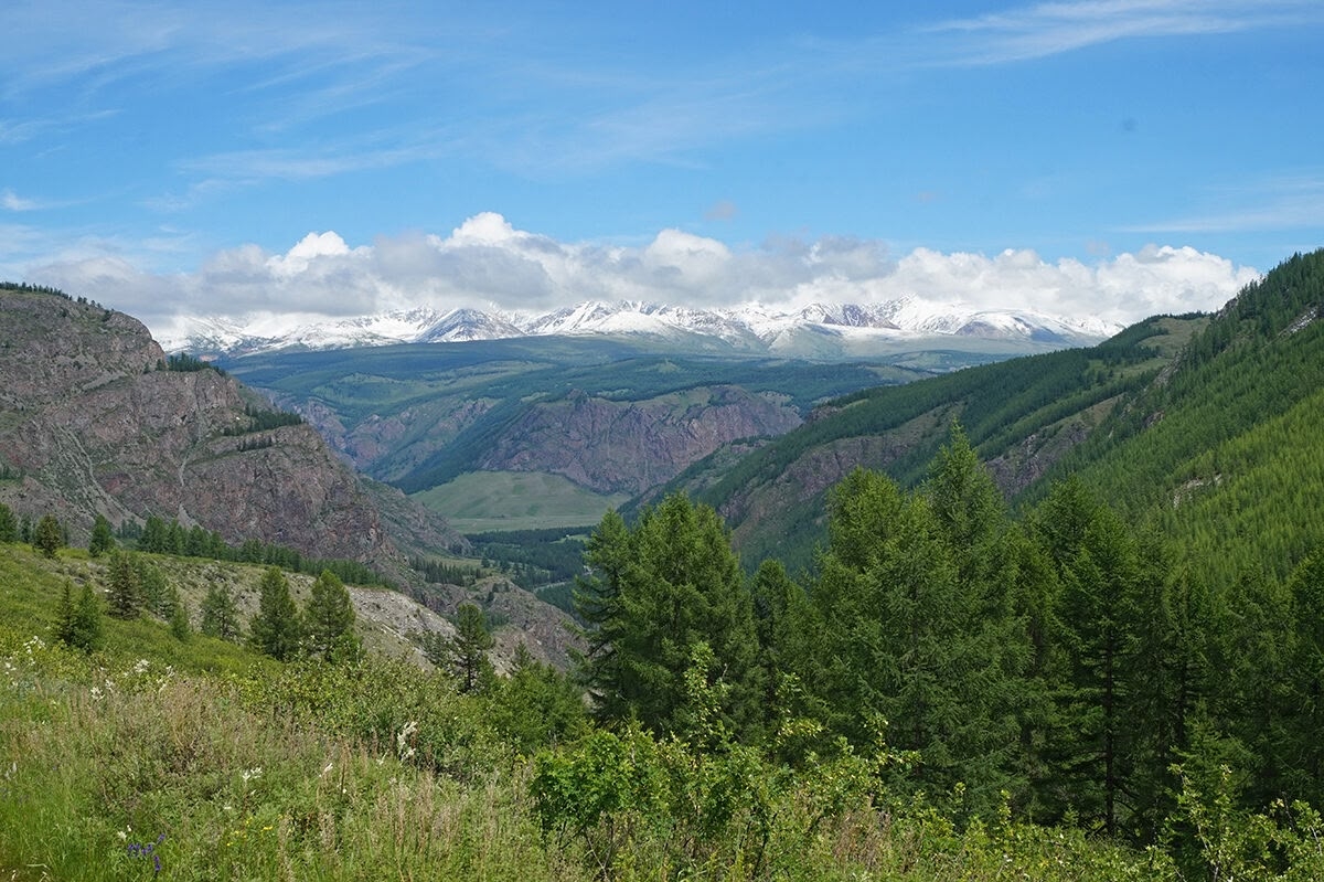 Изумруды Алтая, поход с вьючными лошадьми на Каракабакские озера (12/36)