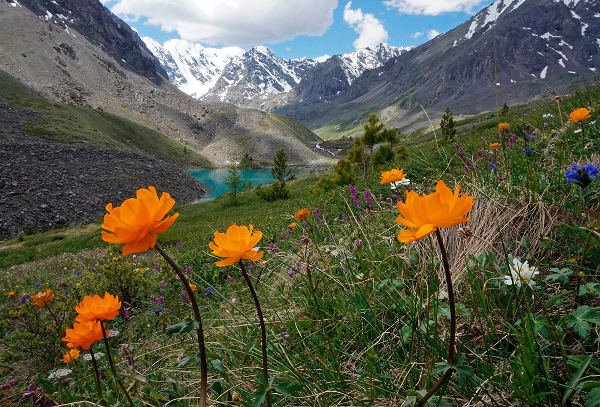 Изумруды Алтая, поход с вьючными лошадьми на Каракабакские озера (11/36)