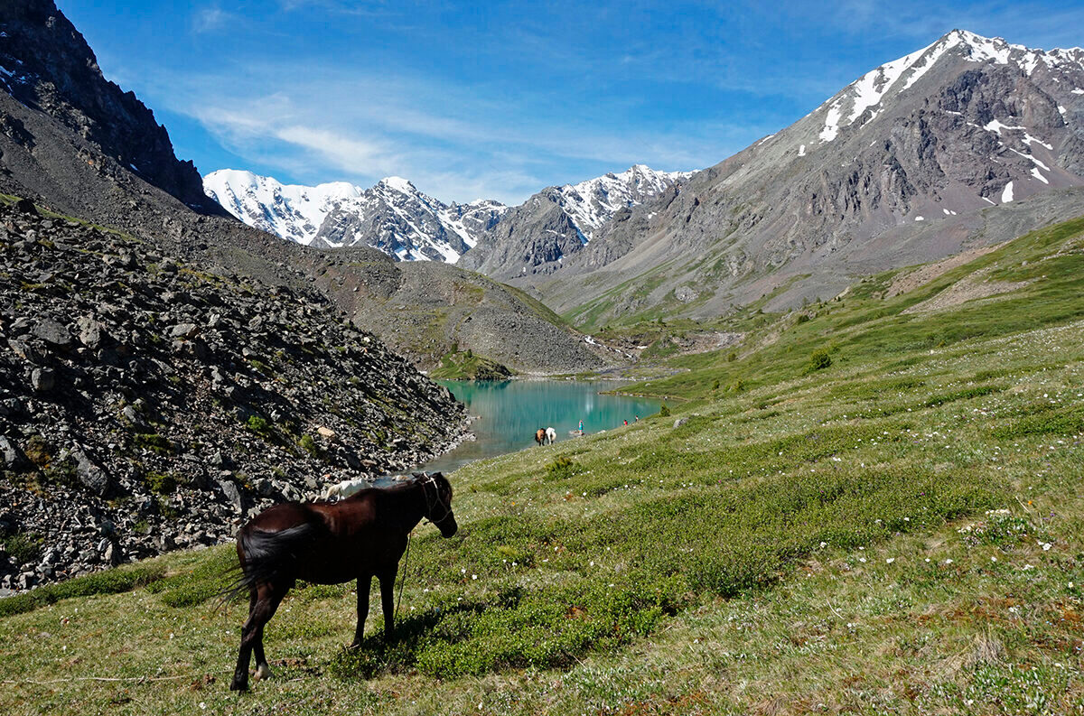 Изумруды Алтая, поход с вьючными лошадьми на Каракабакские озера (6/36)
