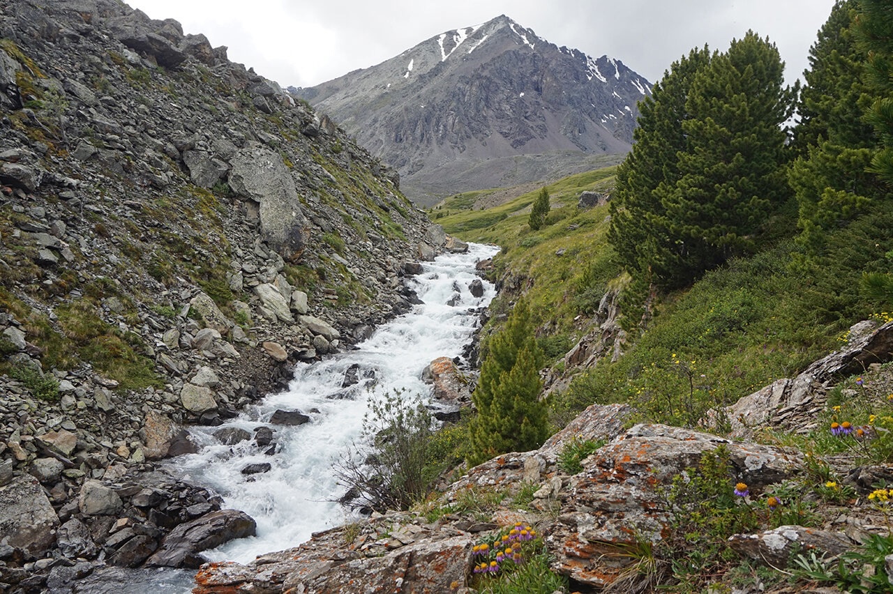 Изумруды Алтая, поход с вьючными лошадьми на Каракабакские озера (31/36)