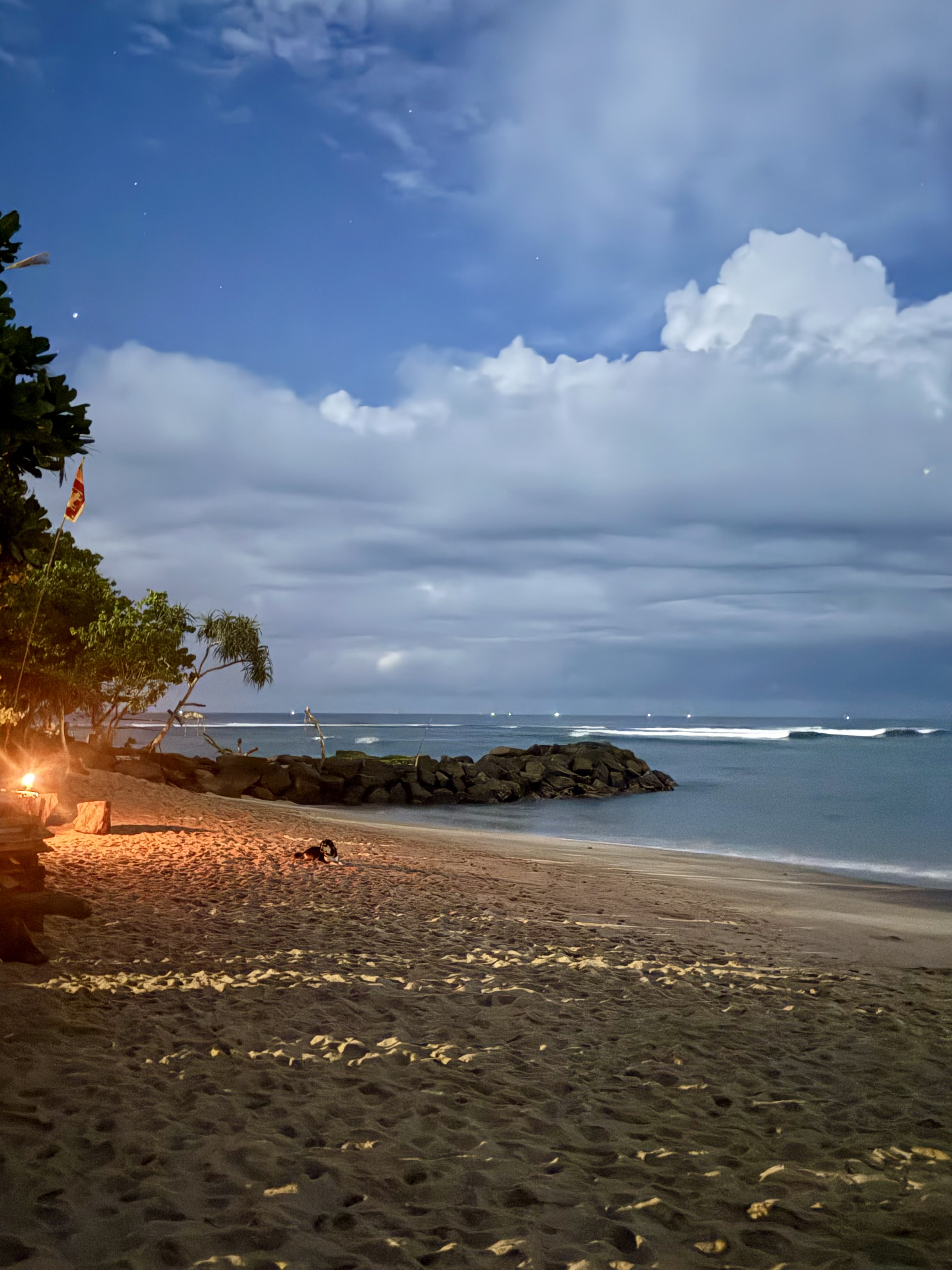 Шри-Ланка на максимум: от джунглей до океанских волн (24/100)