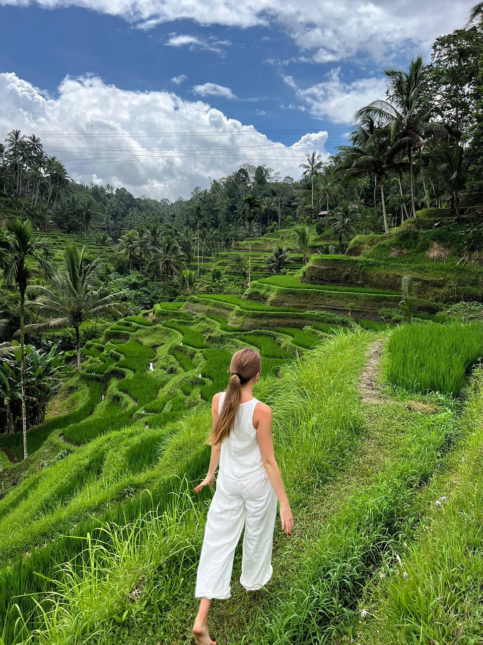 Водопады, храмы и изумрудные террасы Бали