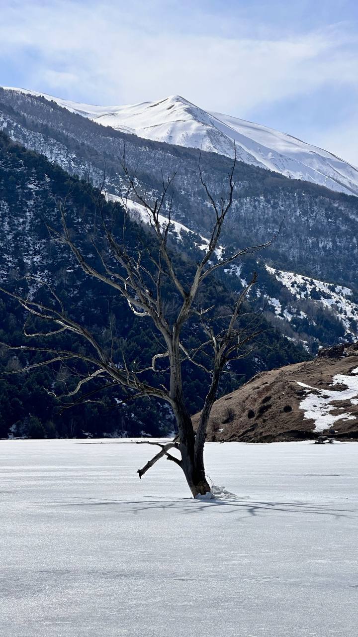 5 дней в зимней Осетии. Гармония заснеженных вершин. (13/14)