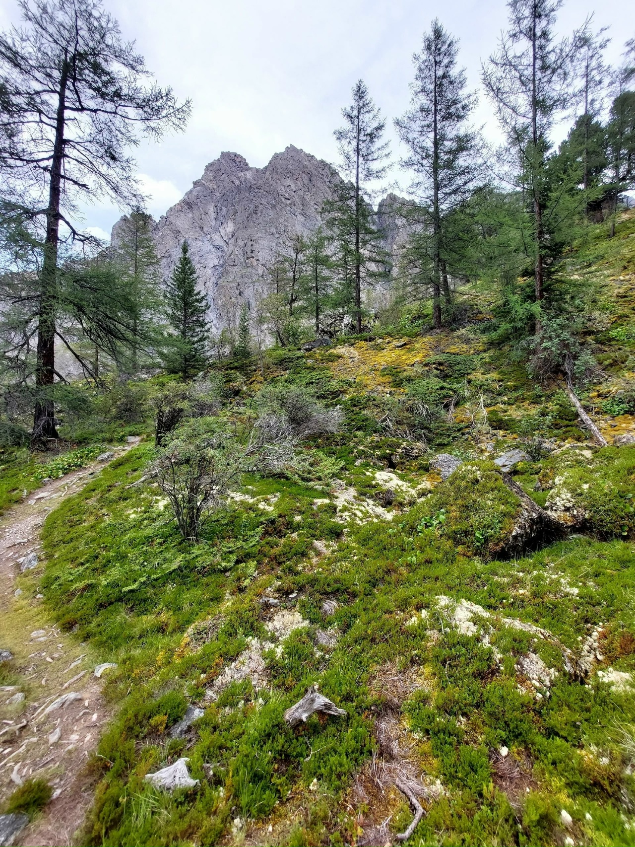 Изумруды Алтая, поход с вьючными лошадьми на Каракабакские озера (19/36)
