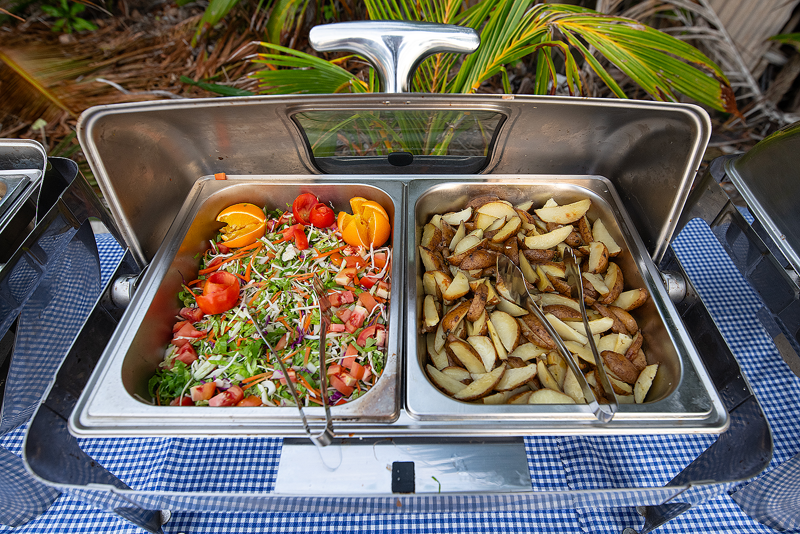 Акулы, Манты, Черепахи. Приключения на Мальдивах. Включая новогодние даты. (8/45)