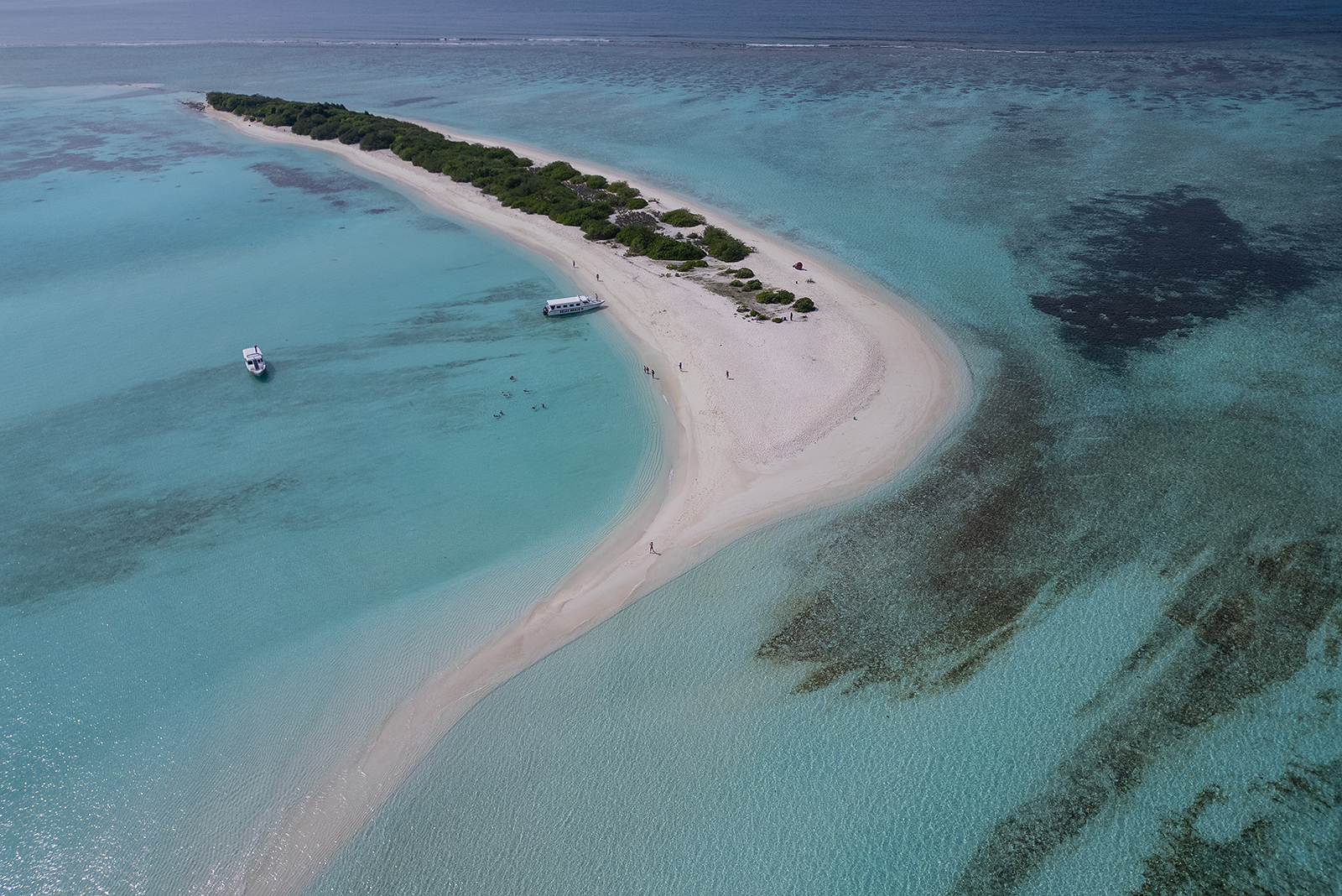 Акулы, Манты, Черепахи. Приключения на Мальдивах. Включая новогодние даты. (18/45)