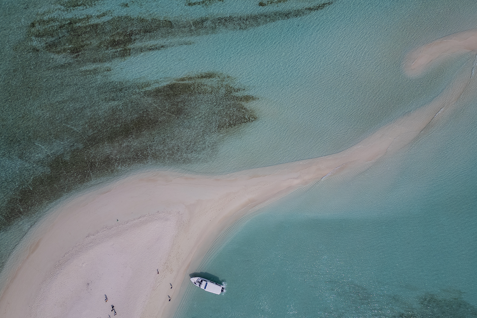 Акулы, Манты, Черепахи. Приключения на Мальдивах. Включая новогодние даты. (14/45)