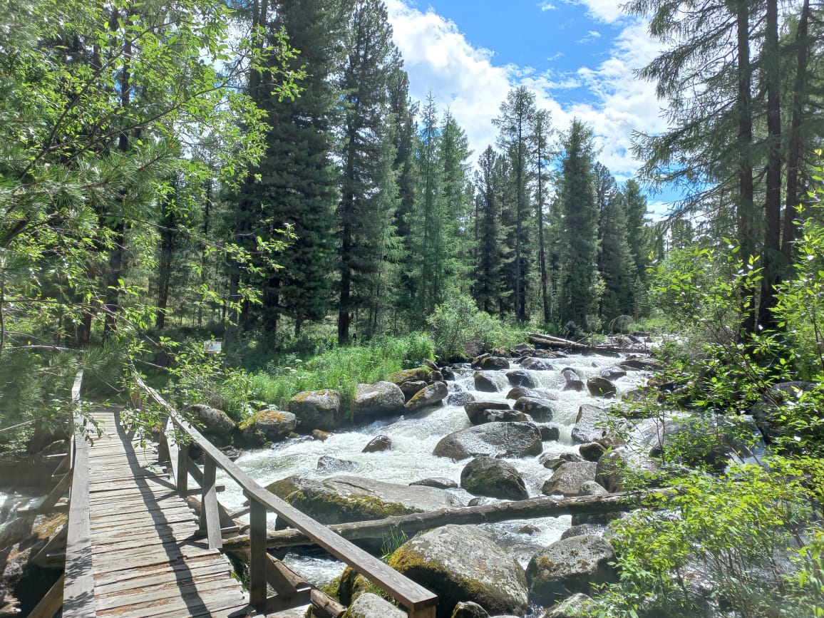 Поднебесье Саян (21/23)