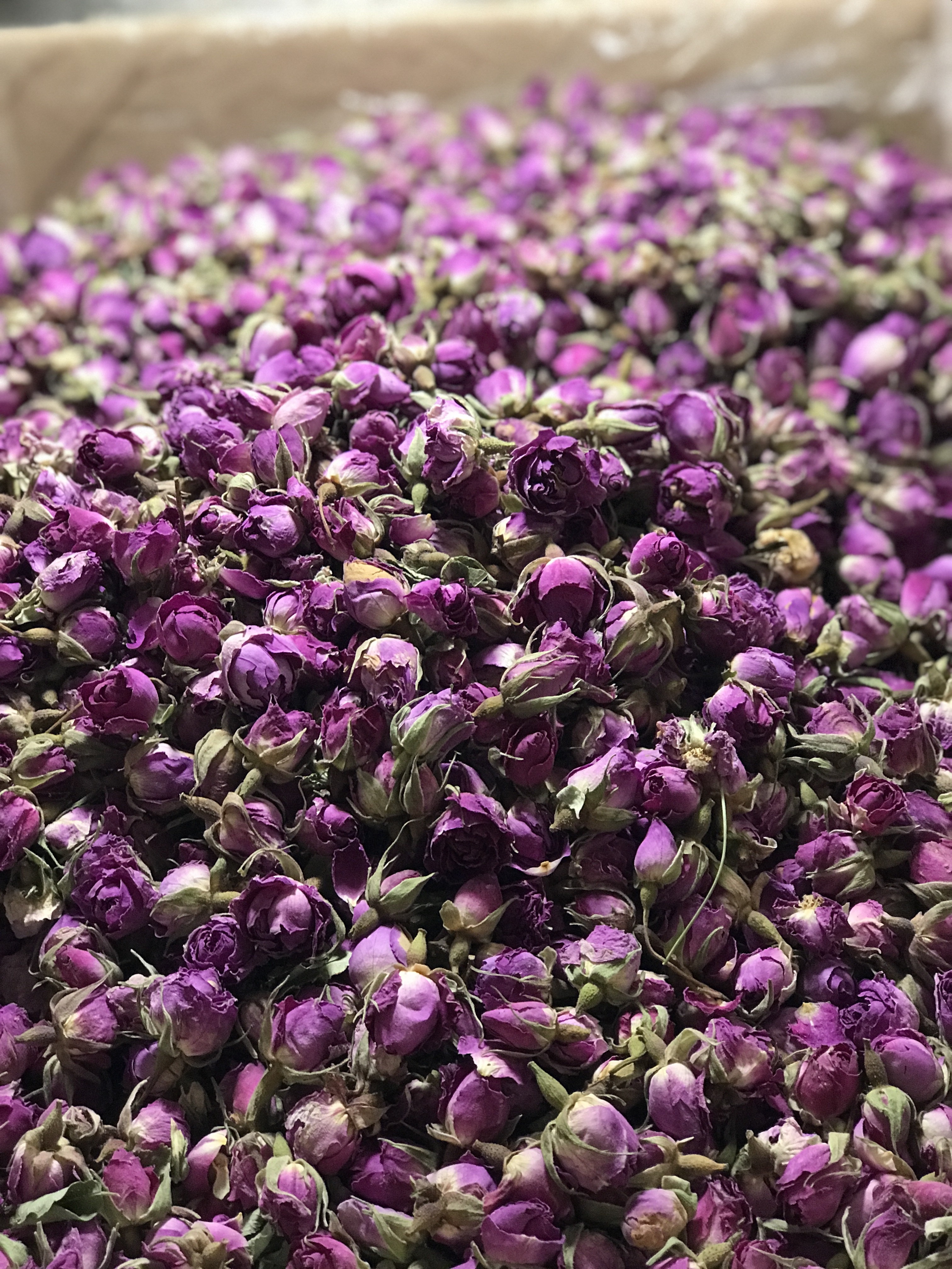 Девичник ДАМАССКАЯ РОЗА ИРАНА (со сбором роз в деревнях) (2/43)