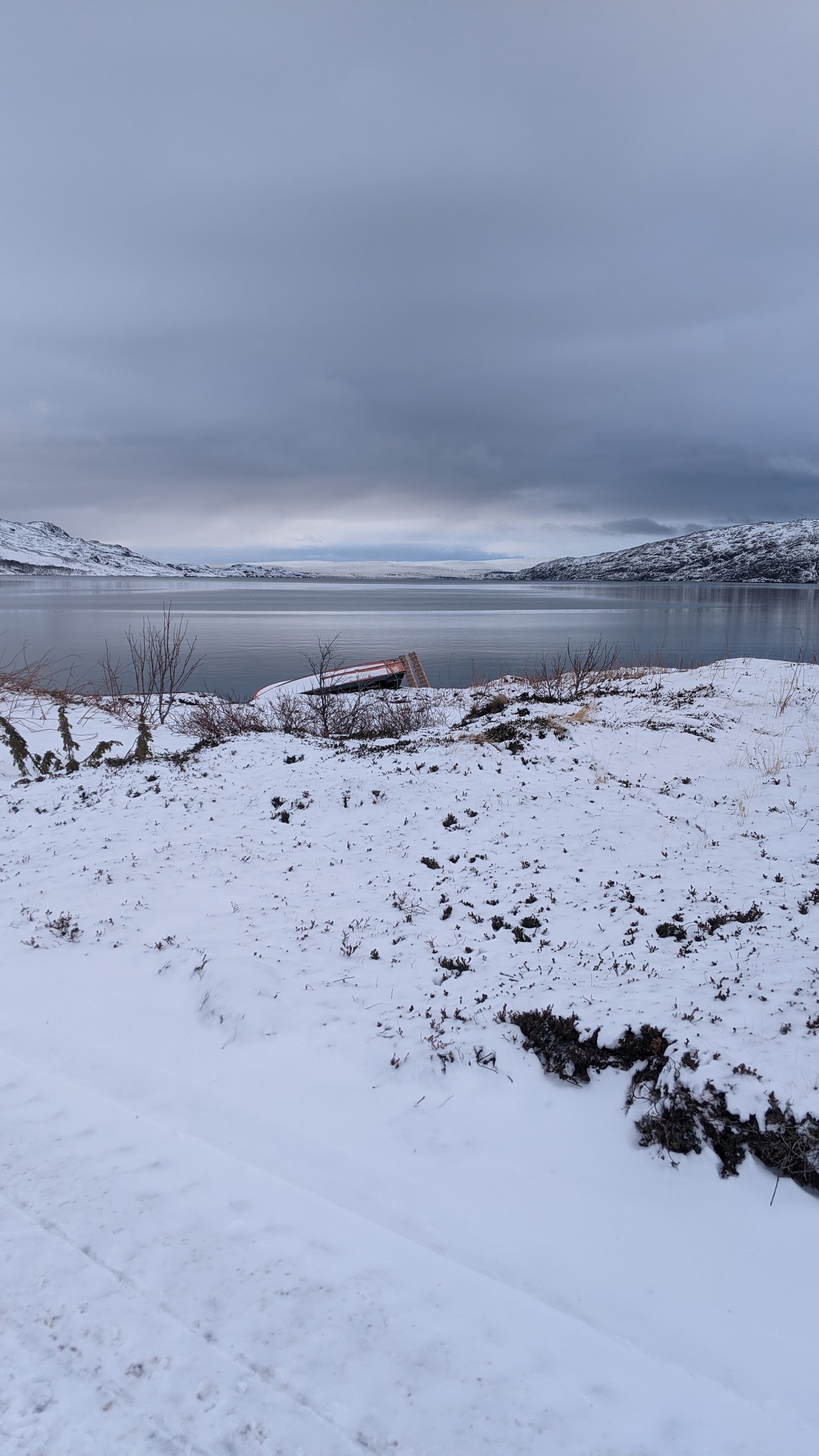 Дикий пляж, скалы и морские обитатели. (15/24)