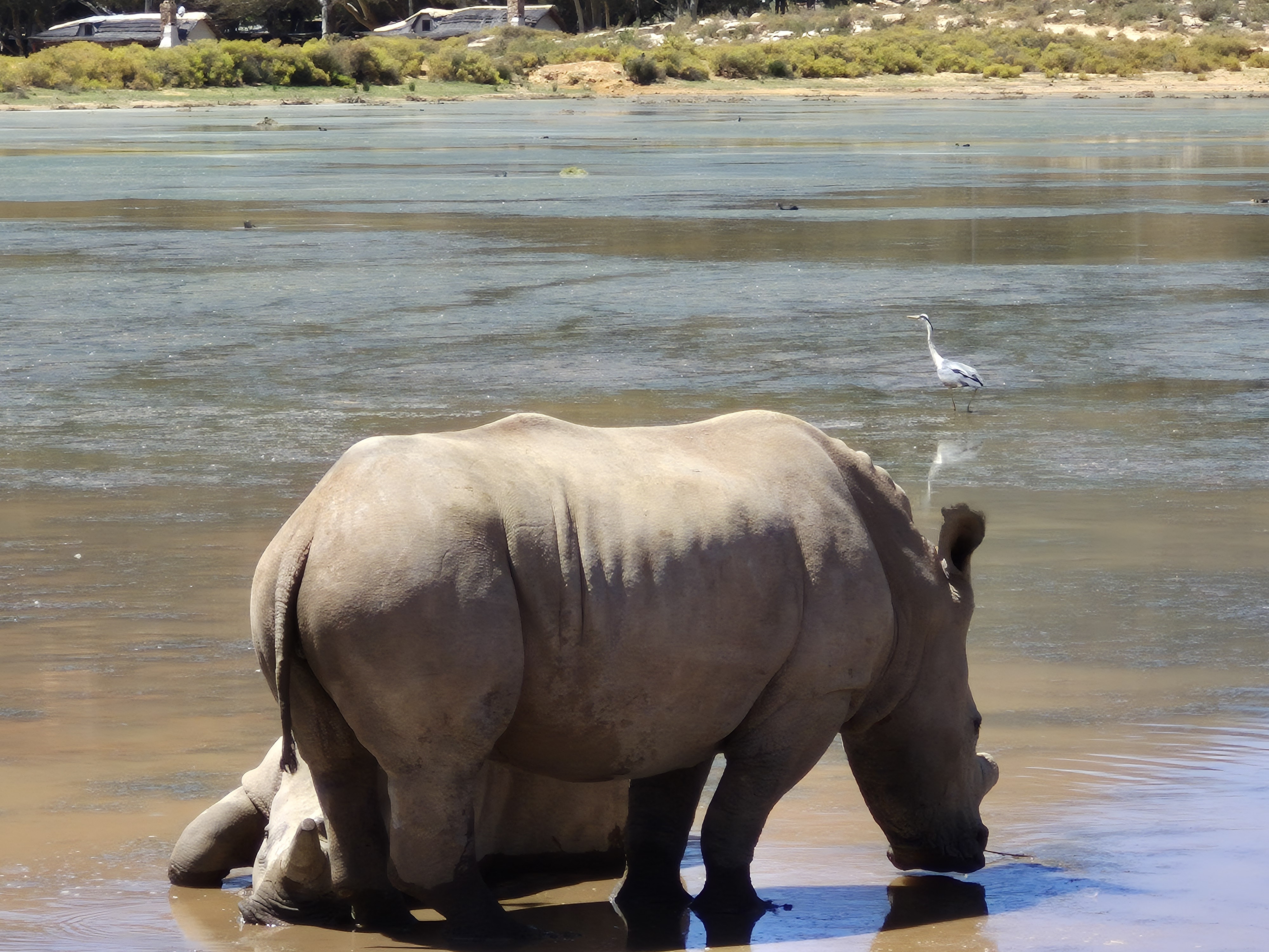 Путь к Мысу Доброй Надежды