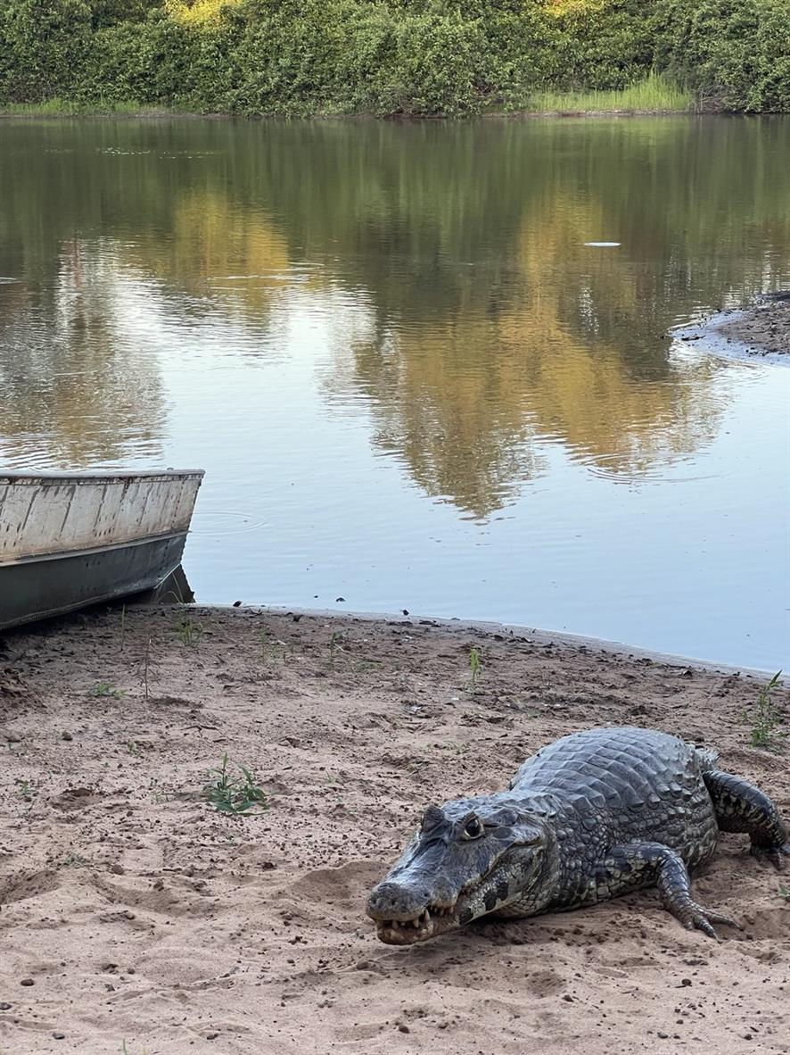 Бразилия и Аргентина: большое южноамериканское приключение (5/49)
