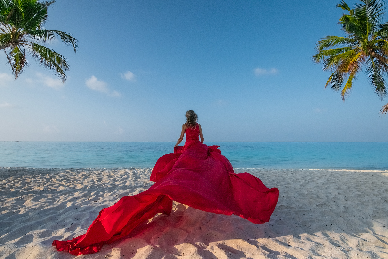 Акулы, Манты, Черепахи. Приключения на Мальдивах. Включая новогодние даты. (2/45)