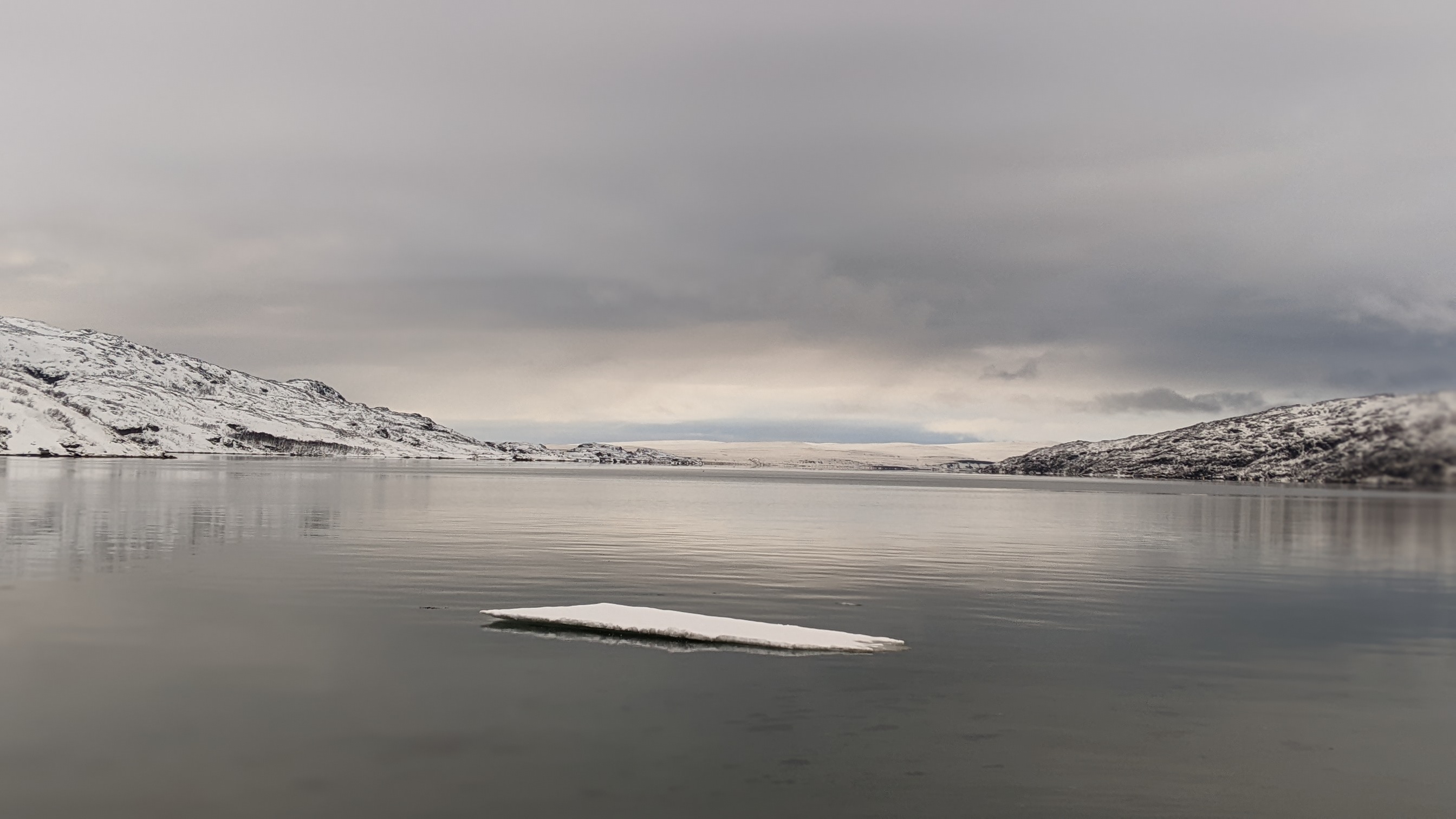 Дикий пляж, скалы и морские обитатели. (13/24)