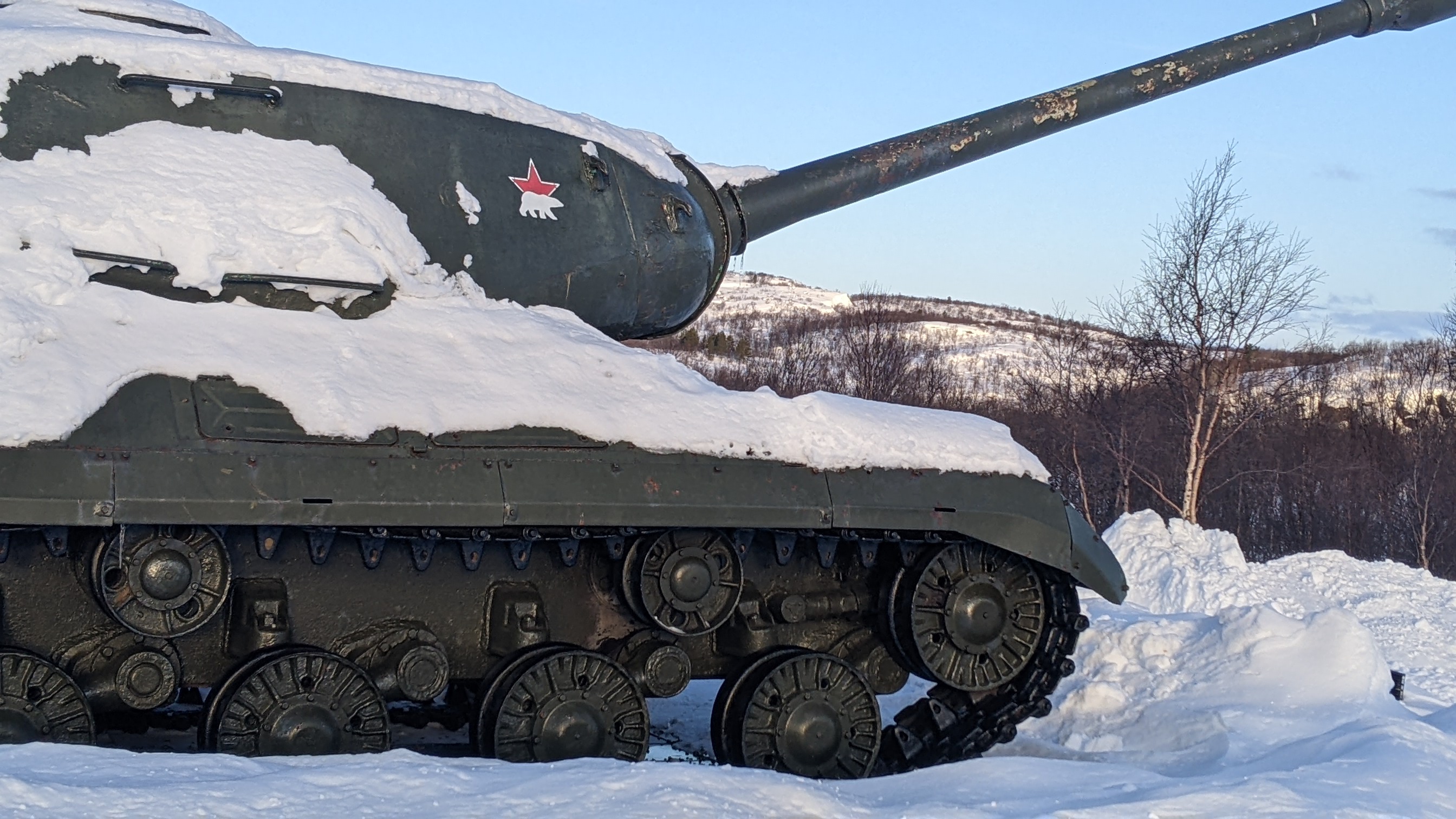 Дикий пляж, скалы и морские обитатели. (24/24)