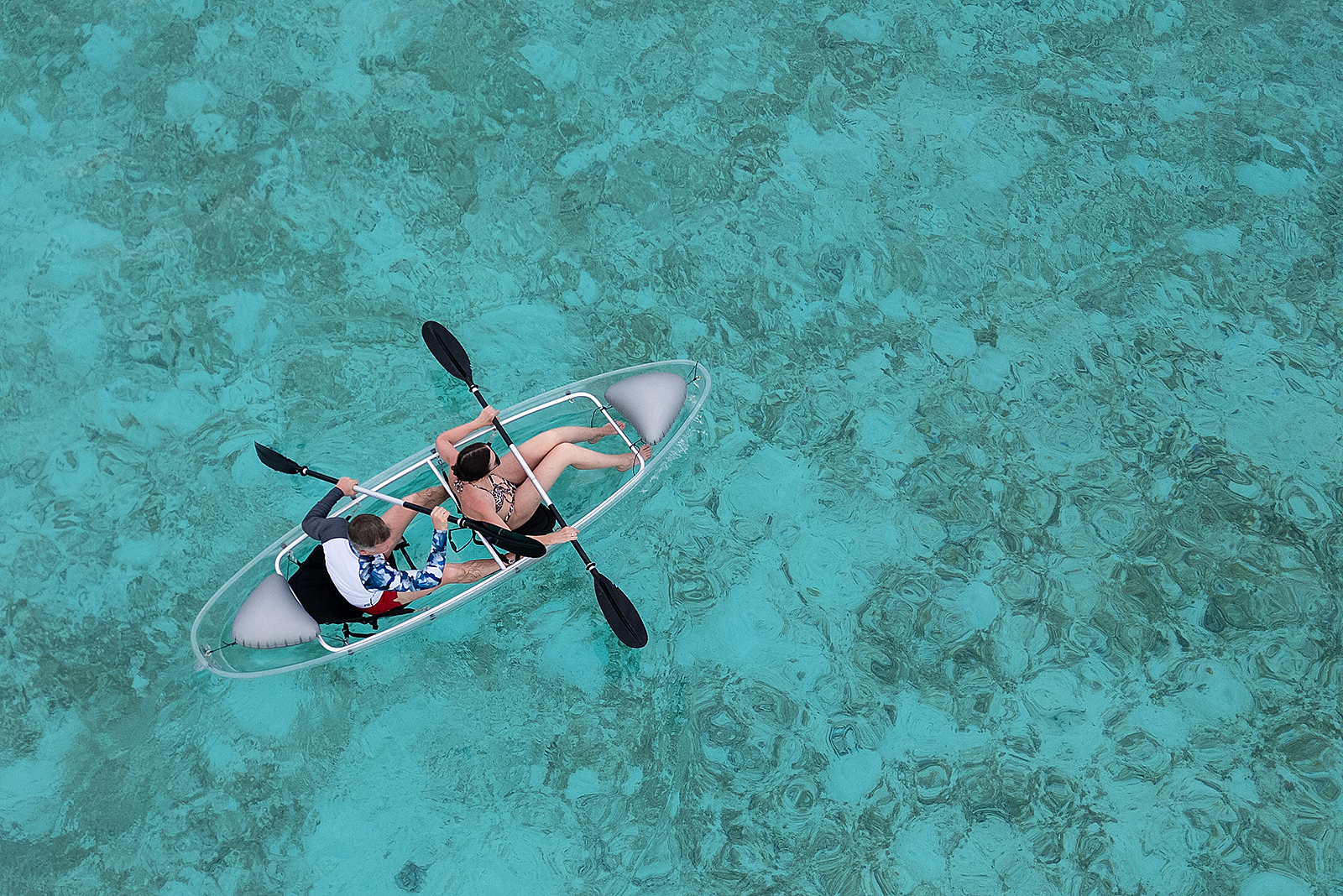 Акулы, Манты, Черепахи. Приключения на Мальдивах. Включая новогодние даты. (13/45)