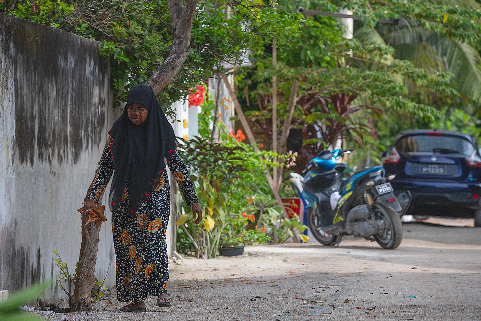 Акулы, Манты, Черепахи. Приключения на Мальдивах. Включая новогодние даты. (10/45)