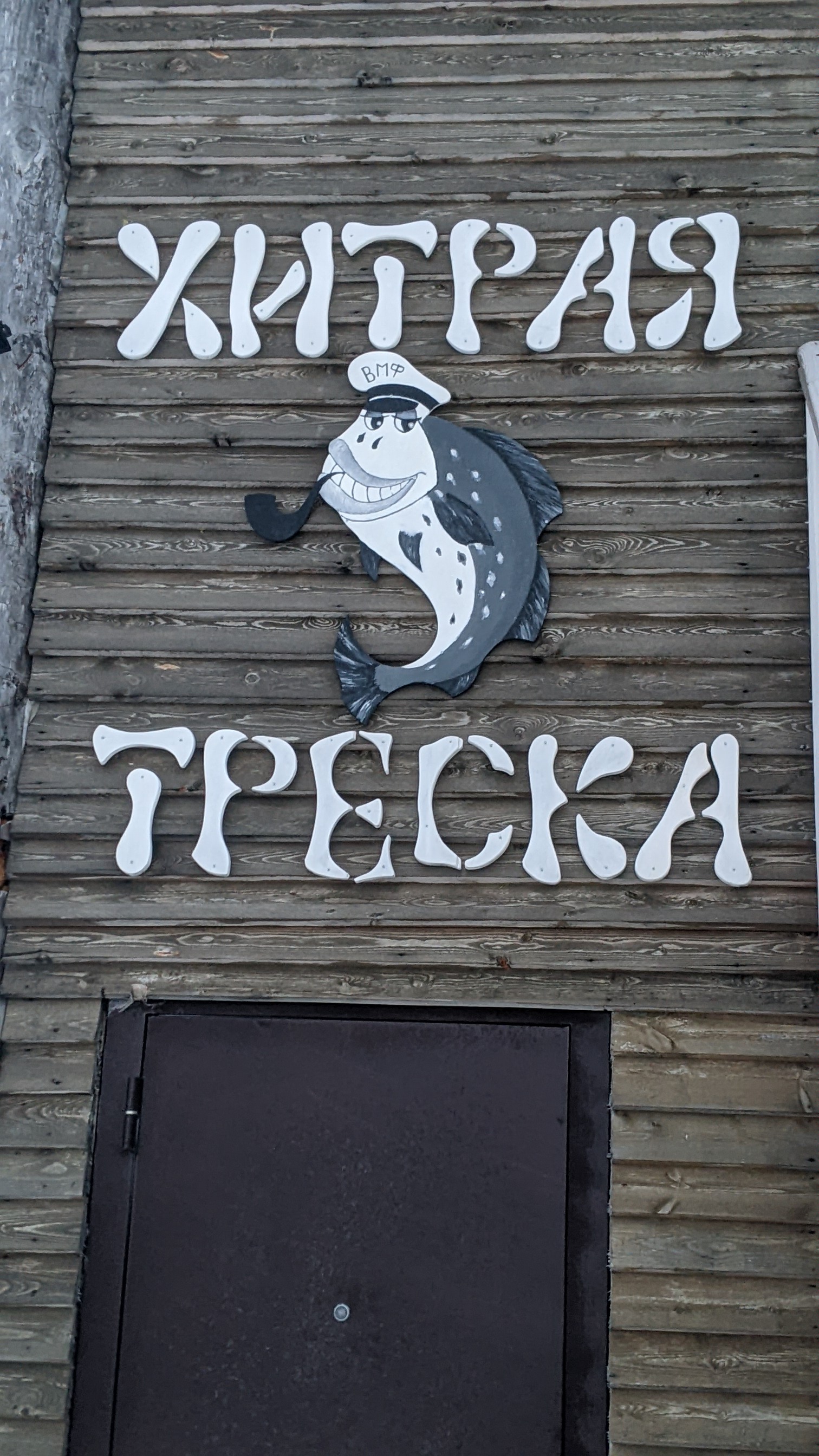 Дикий пляж, скалы и морские обитатели. (10/24)