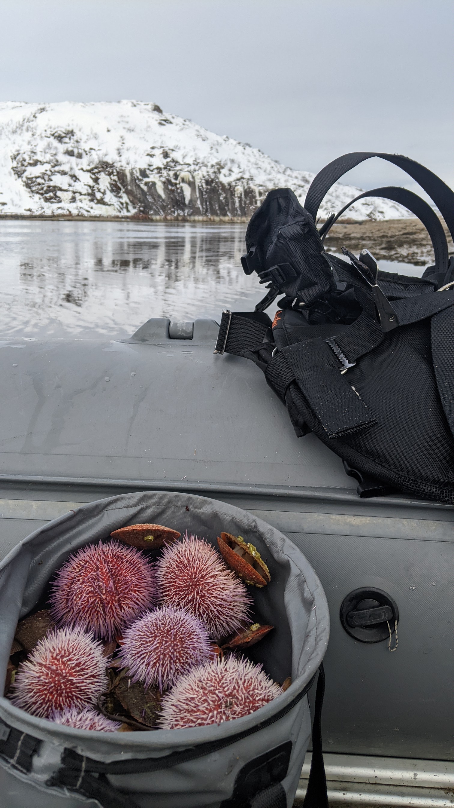 Дикий пляж, скалы и морские обитатели. (3/24)