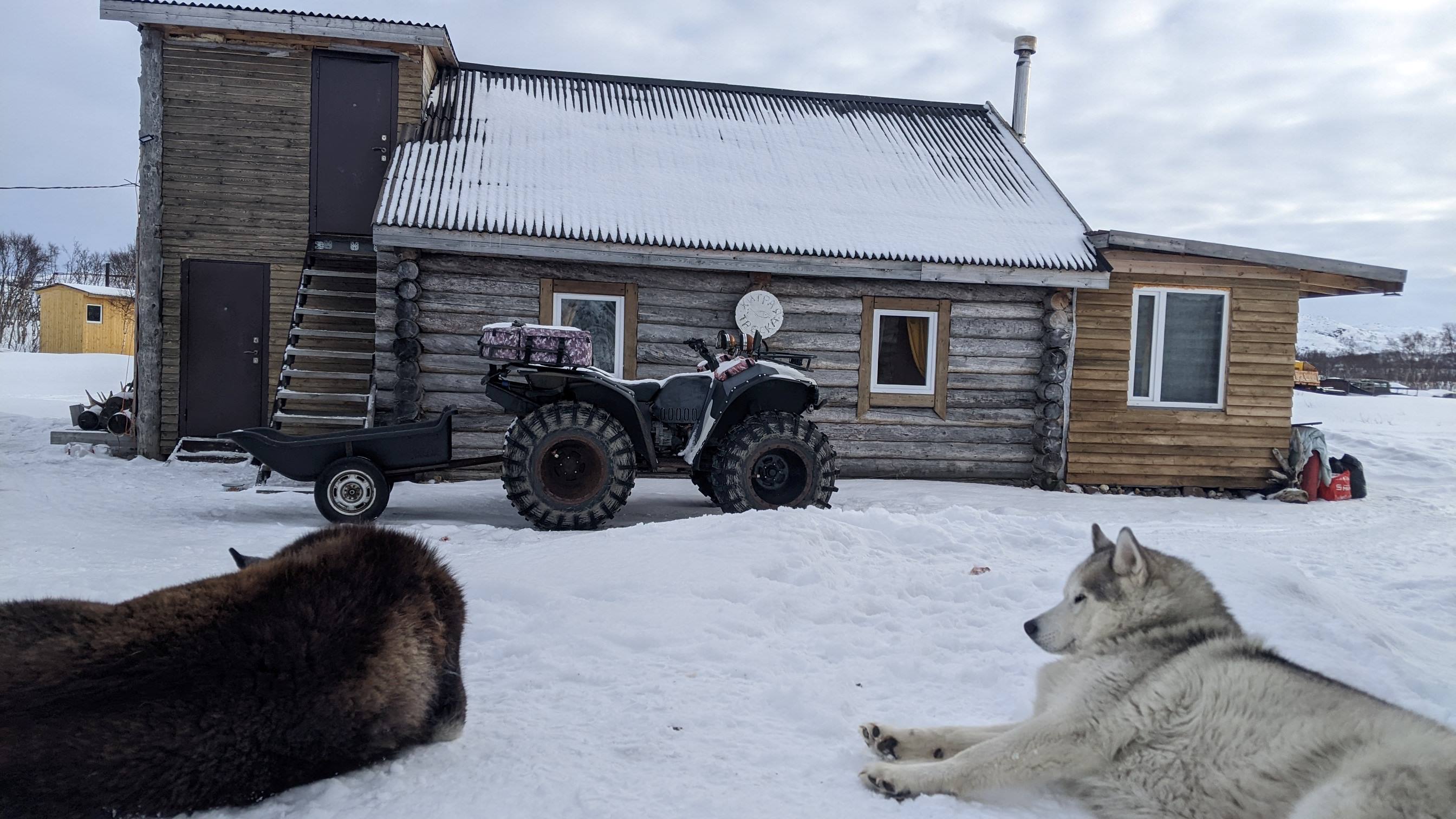 Дикий пляж, скалы и морские обитатели. (20/24)