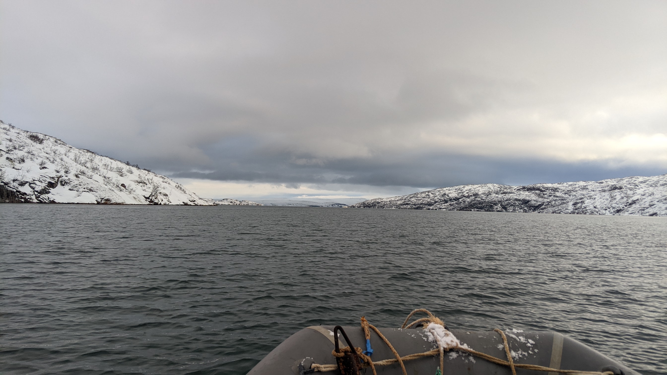 Дикий пляж, скалы и морские обитатели. (8/24)