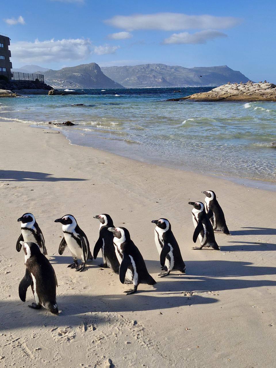 Йога-тур в Юар, Кейптаун