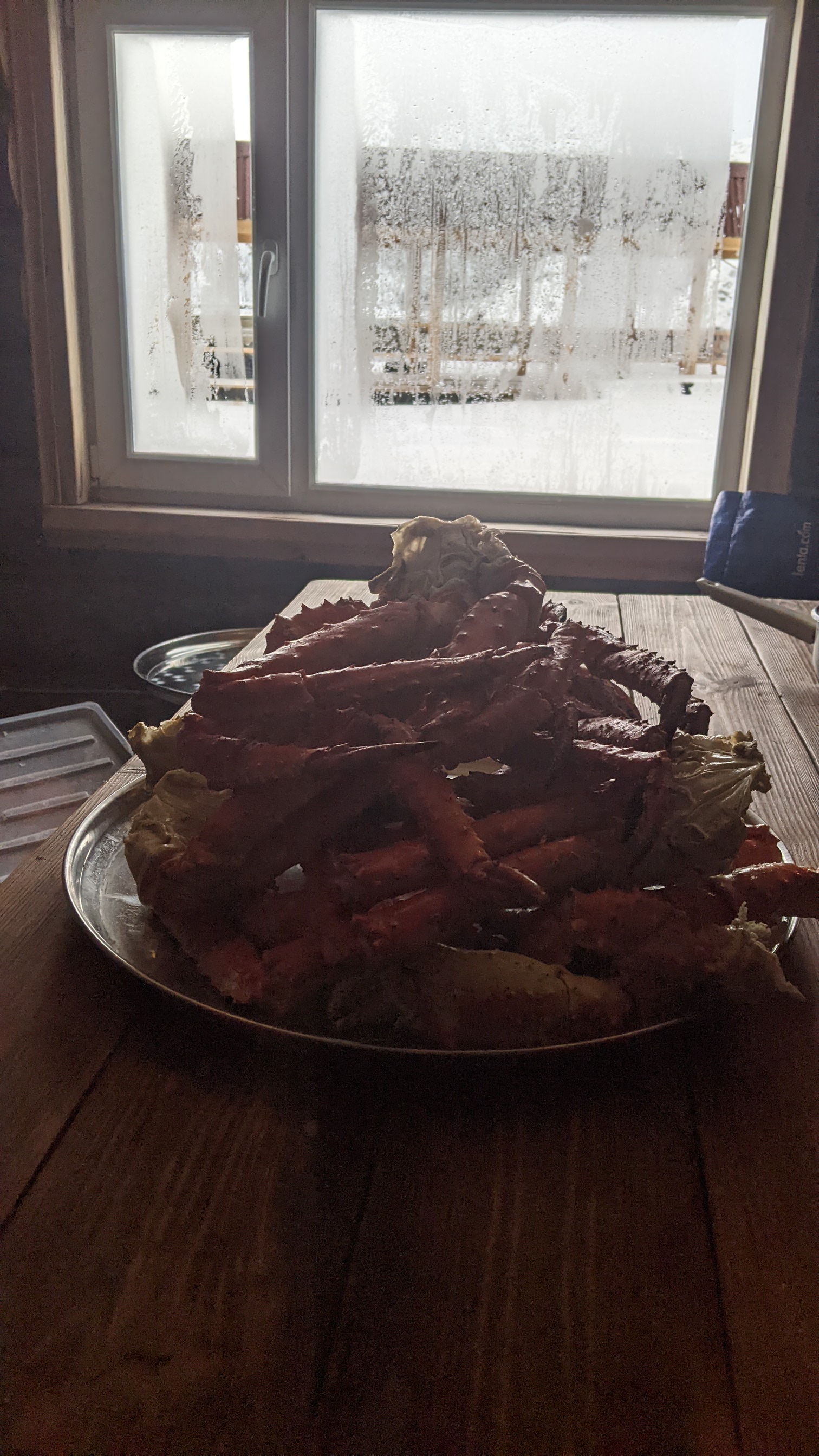 Дикий пляж, скалы и морские обитатели. (17/24)