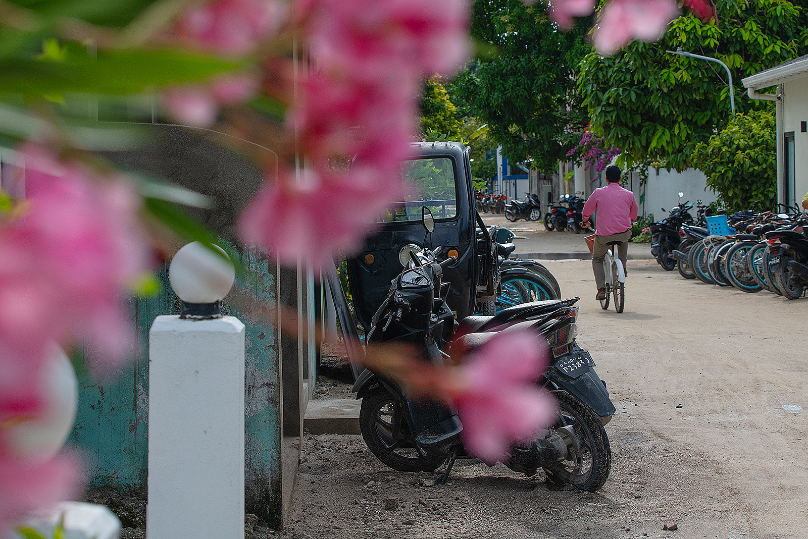 Акулы, Манты, Черепахи. Приключения на Мальдивах. Включая новогодние даты. (15/45)