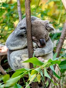 Бразилия и Аргентина: большое южноамериканское приключение (31/49)