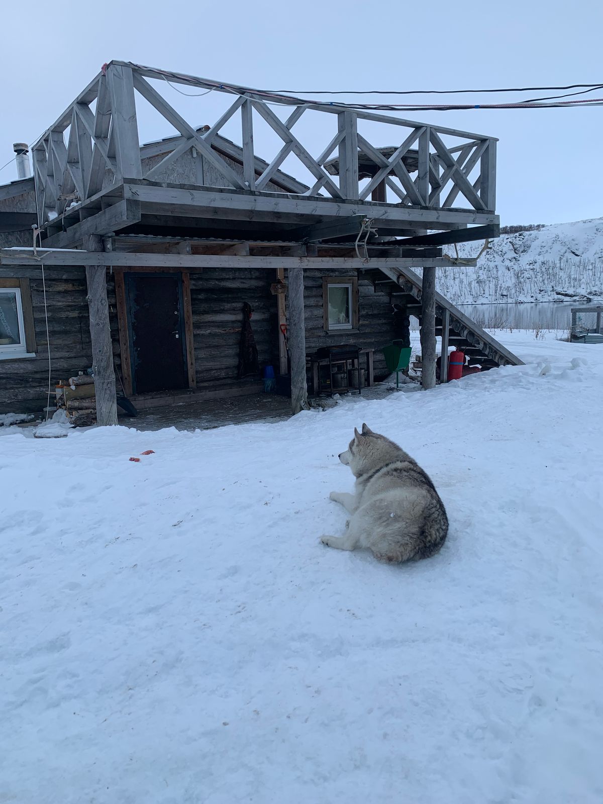 Дикий пляж, скалы и морские обитатели. (11/24)