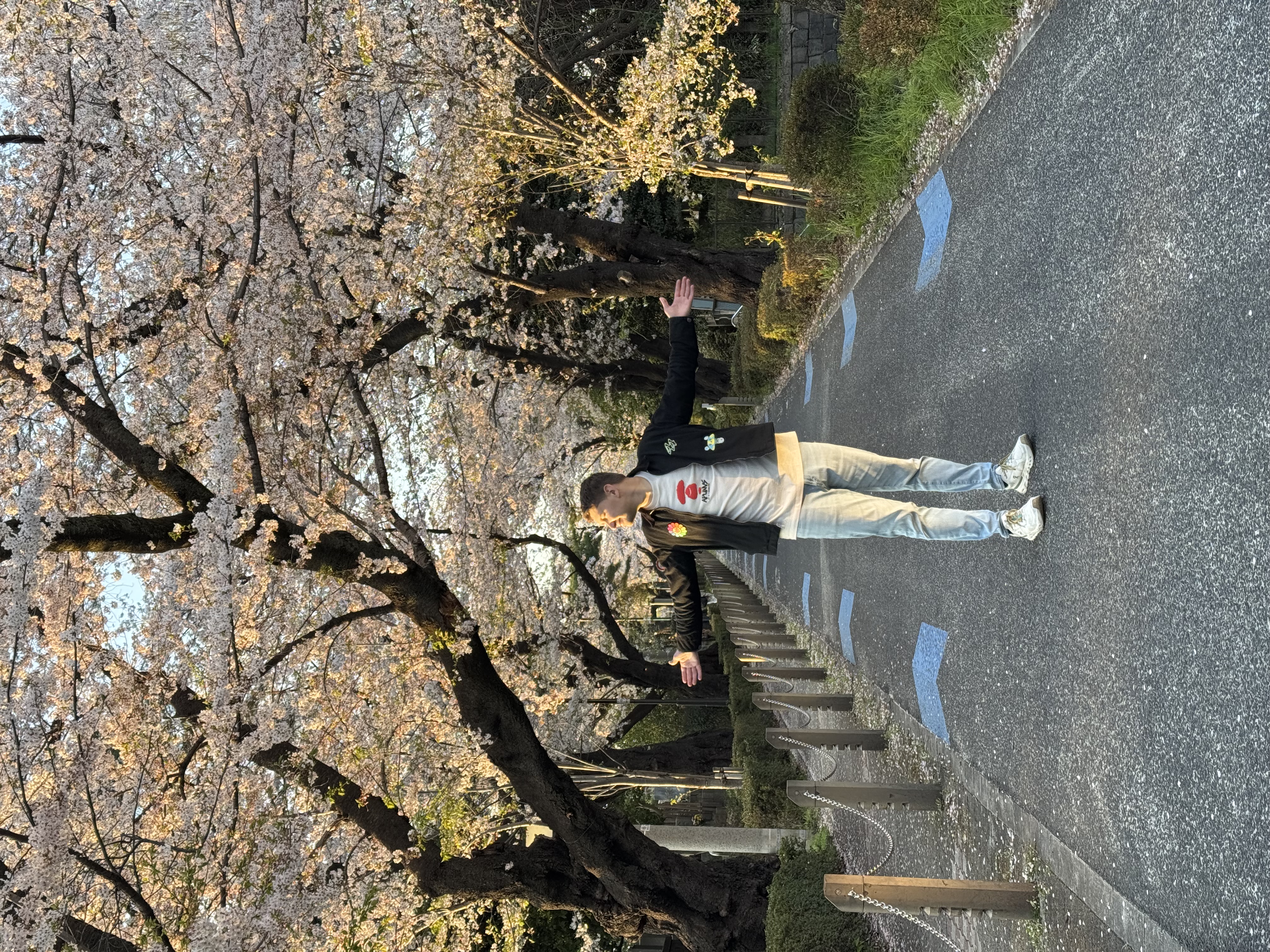 Гранд тур по Японии (2/18)