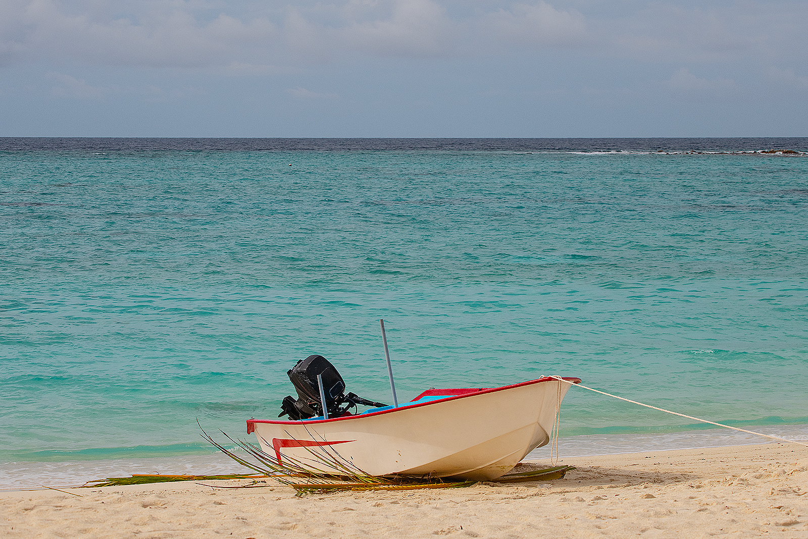 Акулы, Манты, Черепахи. Приключения на Мальдивах. Включая новогодние даты. (7/45)