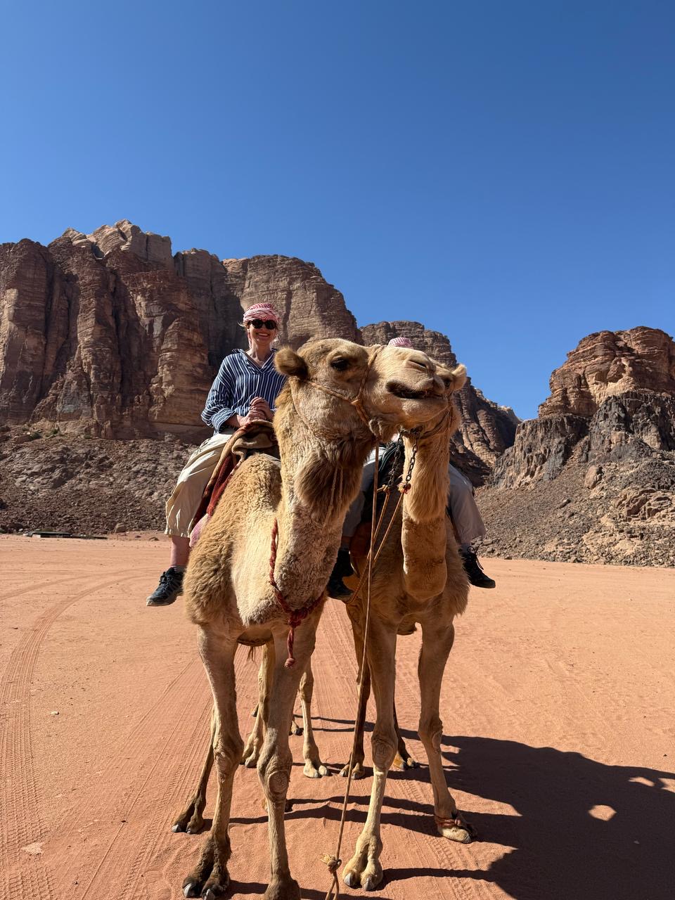 8 Day Trekking & Bedouin Adventure Tour Jordan (23/52)