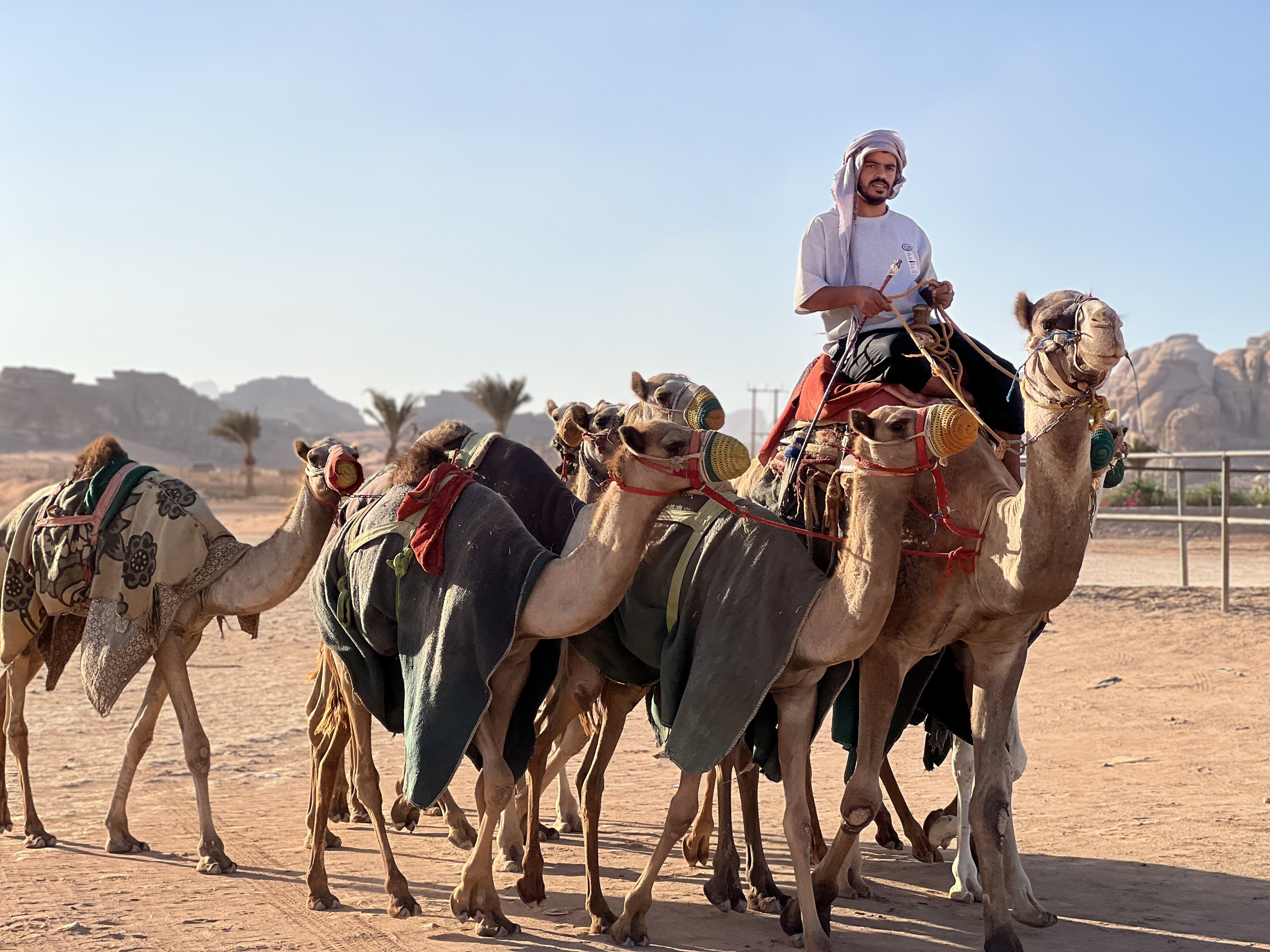 Ретрит Karma Release в Вади Рам, Иордания (19/39)