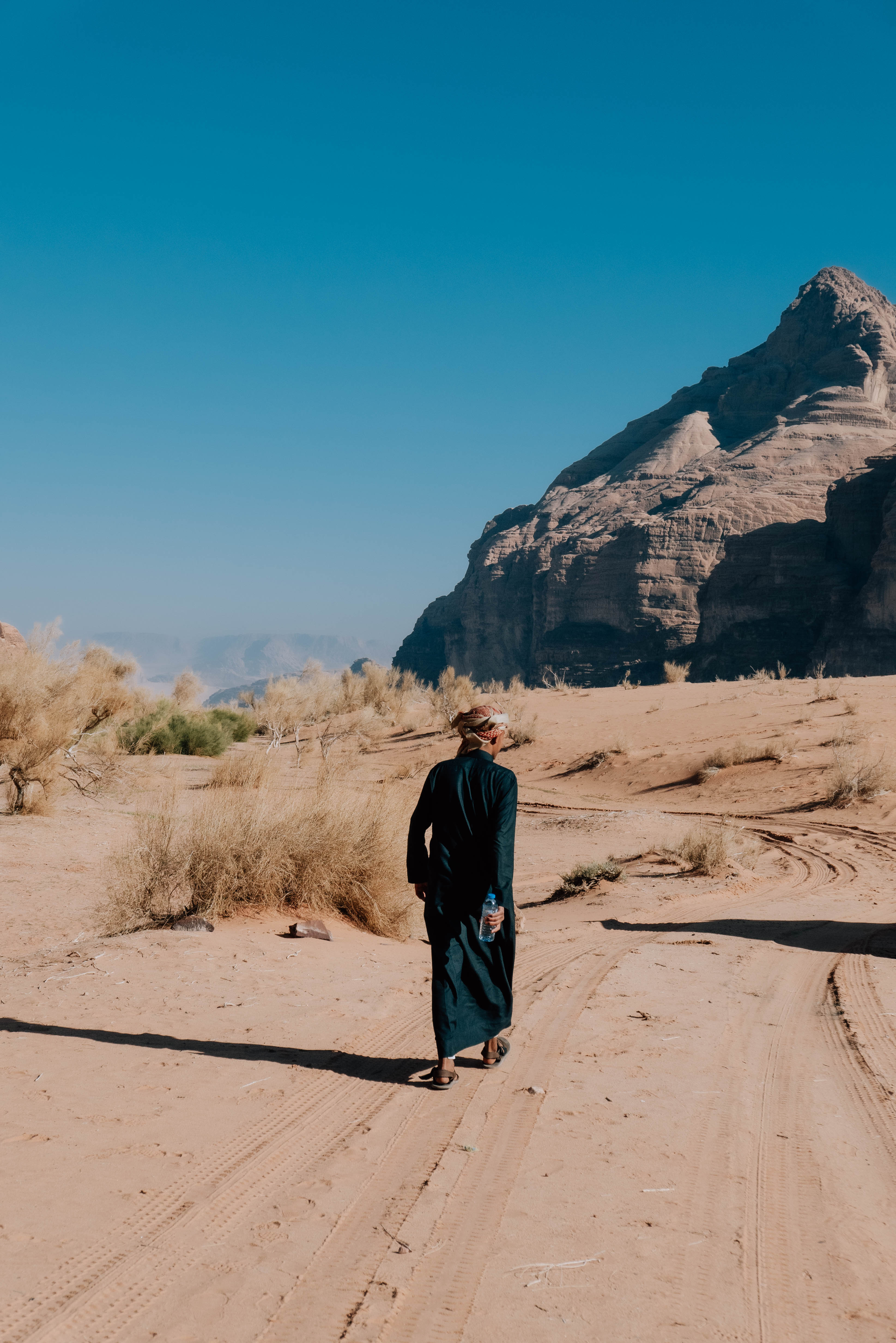 8 Day Trekking & Bedouin Adventure Tour Jordan (29/52)