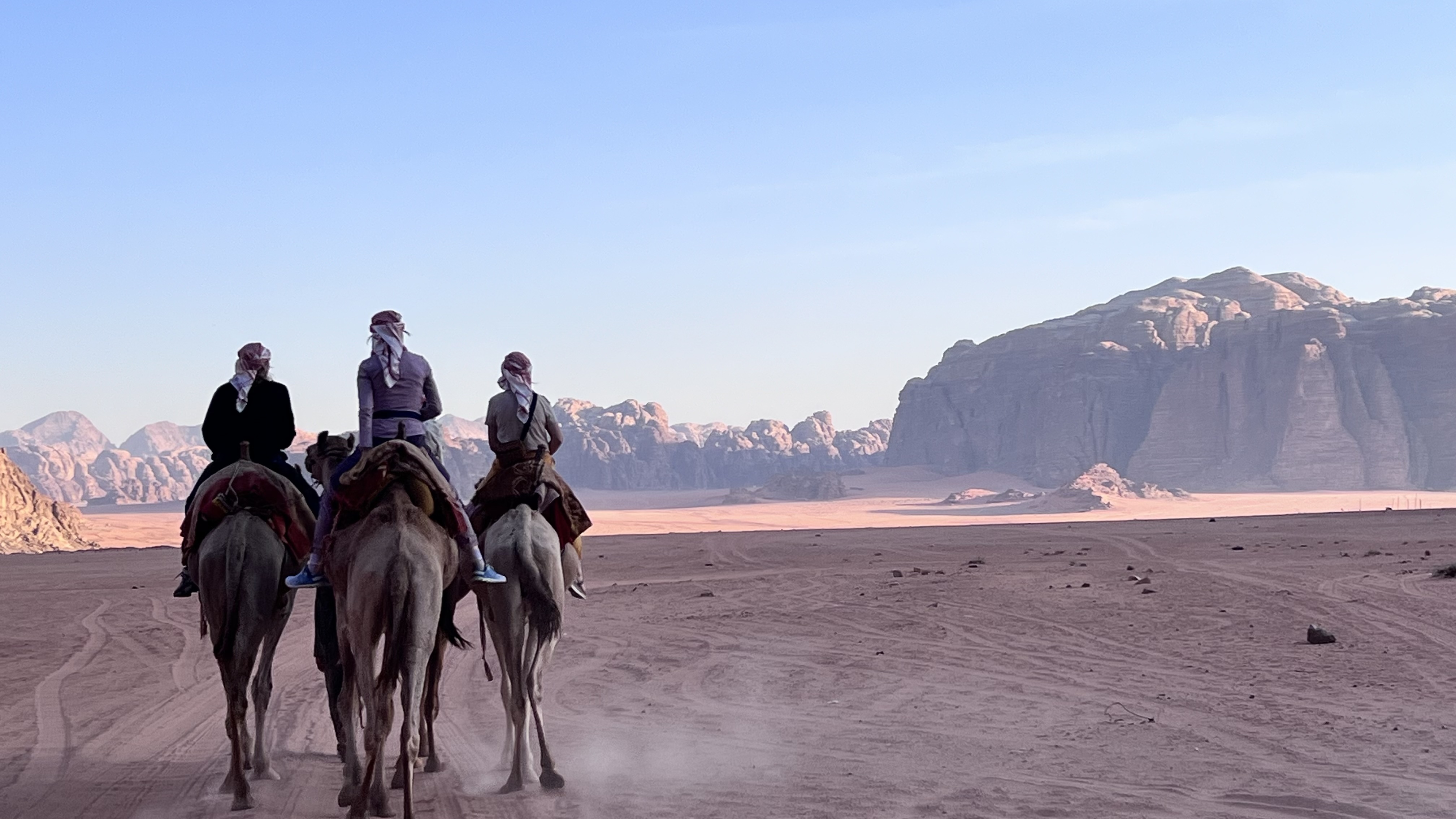 8 Day Trekking & Bedouin Adventure Tour Jordan (21/52)