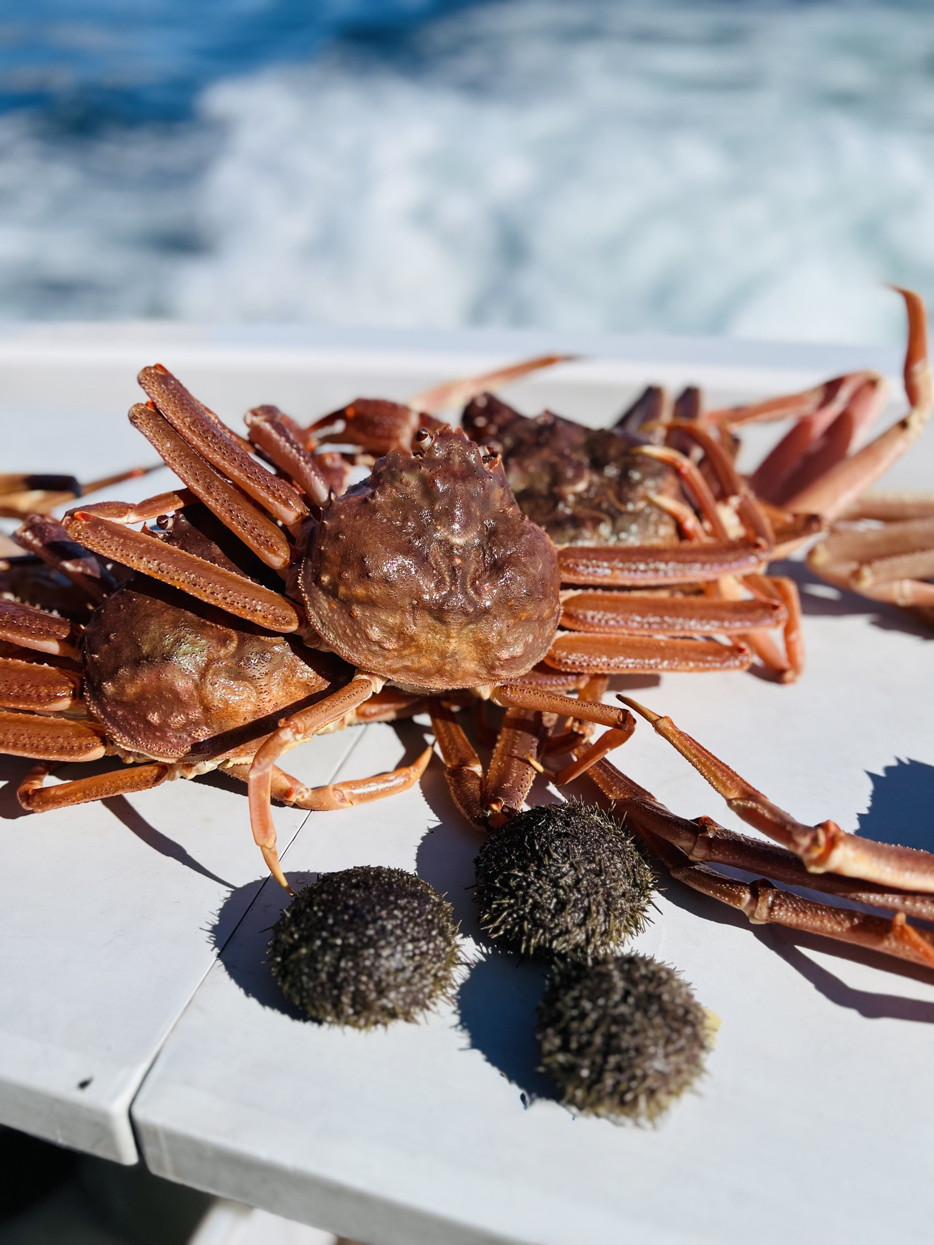 Камчатка без палаток и рюкзаков