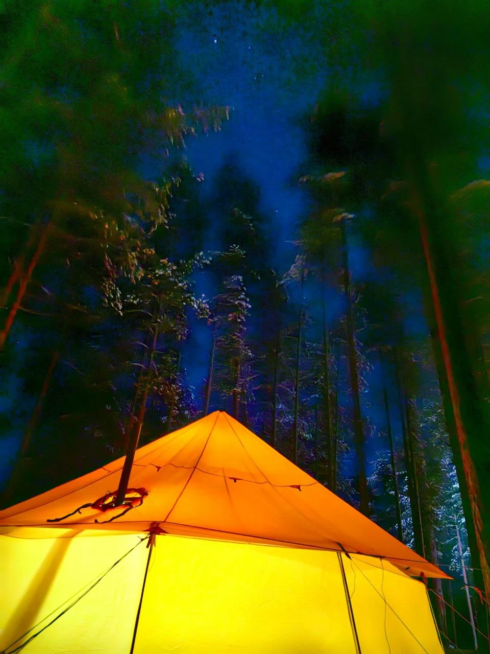 Лед и пламя. Поход с шатром в зимний лес Ленобласти (12/22)