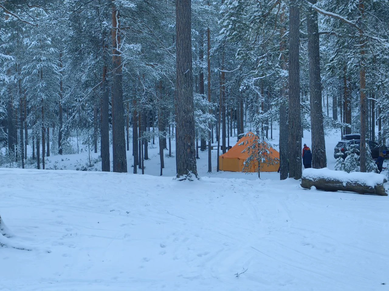 Лед и пламя. Поход с шатром в зимний лес Ленобласти (7/22)